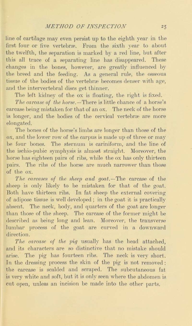 line of cartilage may even persist up to the eighth year in the first four or five vertebrae. From the sixth year to about the twelfth, the separation is marked by a red line, but after this all trace of a separating line has disappeared. These changes in the bones, however, are greatly influenced by the breed and the feeding. As a general rule, the osseous tissue of the bodies of the vertebrae becomes denser with age, and the intervertebral discs get thinner. The left kidney of the ox is floating, the right is fixed. The carcase of the horse. — There is little chance of a horse’s carcase being mistaken for that of an ox. The neck of the horse is longer, and the bodies of the cervical vertebrae are more elongated. The bones of the horse’s limbs are longer than those of the ox, and the lower row of the carpus is made up of three or may he four bones. The sternum is cariniform, and the line of the ischio-pubic symphysis is almost straight. Moreover, the horse has eighteen pairs of ribs, while the ox has only thirteen pairs. The ribs of the horse are much narrower than those of the ox. The carcases of the sheep and goat. — The carcase of the sheep is only likely to be mistaken for that of the goat. Both have thirteen ribs. In fat sheep the external covering of adipose tissue is well developed ; in the goat it is practically absent. The neck, body, and quarters of the goat are longer than those of the sheep. The carcase of the former might be described as being long and lean. Moreover, the transverse lumbar process of the goat are curved in a downward direction. The carcase of the pig usually has the head attached, and its characters are so distinctive that no mistake should arise. The pig has fourteen ribs. The neck is very short. In the dressing process the skin of the pig is not removed : the carcase is scalded and scraped. The subcutaneous fat is very white and soft, but it is only seen where the abdomen is cut open, unless an incision be made into the other parts.