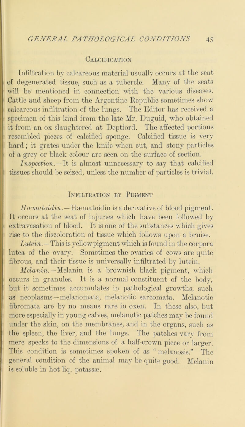 Calcification Infiltration by calcareous material usually occurs at tlie seat of degenerated tissue, such as a tubercle. Many of the seats will be mentioned in connection with the various diseases. Cattle and sheep from the Argentine Republic sometimes show calcareous infiltration of the lungs. The Editor has received a specimen of this kind from the late Mr. Duguid, who obtained it from an ox slaughtered at Deptford. The affected portions resembled pieces of calcified sponge. Calcified tissue is very hard; it grates under the knife when cut, and stony particles of a grev or black colour are seen on the surface of section. o %J Inspection. — It is almost unnecessary to say that calcified tissues should be seized, unless the number of particles is trivial. Infiltration by Pigment Hcematoidin. — Haematoidin is a derivative of blood pigment. It occurs at the seat of injuries which have been followed by extravasation of blood. It is one of the substances which gives rise to the discoloration of tissue which follows upon a bruise. Lutein. — This is yellow pigment which is found in the corpora lutea of the ovary. Sometimes the ovaries of cows are quite fibrous, and their tissue is universally infiltrated bv lutein. Melanin. — Melanin is a brownish black pigment, which occurs in granules. It is a normal constituent of the body, but it sometimes accumulates in pathological growths, such as neoplasms —melanomata, melanotic sarcomata. Melanotic fibromata are by no means rare in oxen. In these also, but more especially in young calves, melanotic patches may be found under the skin, on the membranes, and in the organs, such as the spleen, the liver, and the lungs. The patches vary from mere specks to the dimensions of a half-crown piece or larger. This condition is sometimes spoken of as “ melanosis.” The general condition of the animal may be quite good. Melanin is soluble in hot liq. potassae.