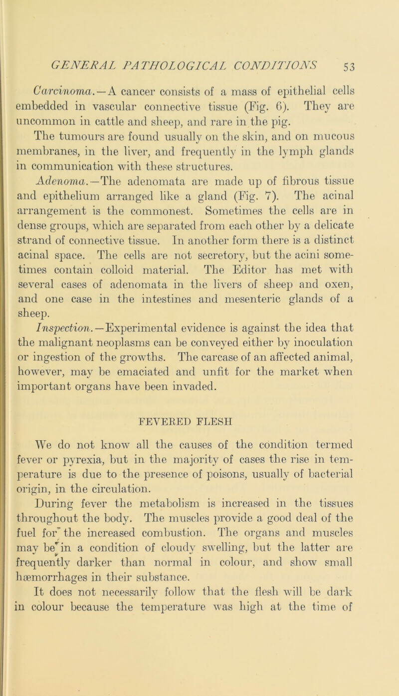 Carcinoma. —A cancer consists of a mass of epithelial cells embedded in vascular connective tissue (Fig. 6). They are uncommon in cattle and sheep, and rare in the pig. The tumours are found usually on the skin, and on mucous membranes, in the liver, and frequently in the lymph glands in communication with these structures. Adenoma.— The adenomata are made up of fibrous tissue and epithelium arranged like a gland (Fig. 7). The acinal arrangement is the commonest. Sometimes the cells are in dense groups, which are separated from each other by a delicate strand of connective tissue. In another form there is a distinct acinal space. The cells are not secretory, but the acini some- times contain colloid material. The Editor has met with several cases of adenomata in the livers of sheep and oxen, and one case in the intestines and mesenteric glands of a sheep. Inspection. —Experimental evidence is against the idea that the malignant neoplasms can be conveyed either by inoculation or ingestion of the growths. The carcase of an affected animal, however, mav be emaciated and unfit for the market when important organs have been invaded. FEVERED FLESH We do not know all the causes of the condition termed fever or pyrexia, but in the majority of cases the rise in tem- perature is due to the presence of poisons, usually of bacterial origin, in the circulation. During fever the metabolism is increased in the tissues throughout the body. The muscles provide a good deal of the fuel for the increased combustion. The organs and muscles may bein a condition of cloudy swelling, but the latter are frequently darker than normal in colour, and show small haemorrhages in their substance. It does not necessarilv follow that the flesh will be dark in colour because the temperature was high at the time of