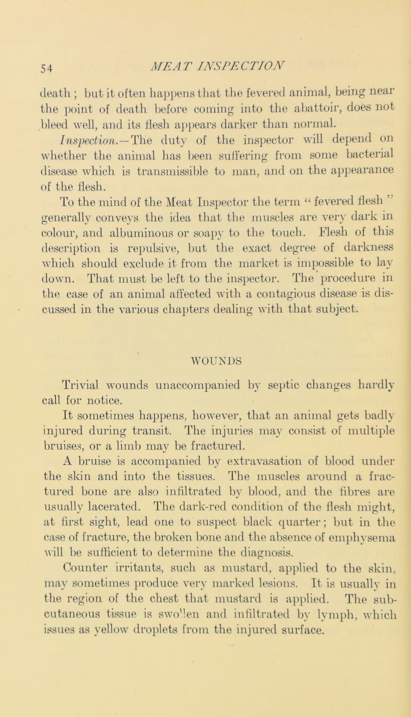 death ; but it often happens that the fevered animal, being near the point of death before coining into the abattoir, does not bleed well, and its liesh appears darker than normal. Inspection.— The duty of the inspector will depend on whether the animal has been suffering from some bacterial disease which is transmissible to man, and on the appearance of the flesh. To the mind of the Meat Inspector the term “ fevered flesh ’ generally conveys the idea that the muscles are very dark in colour, and albuminous or soapy to the touch. Flesh of this description is repulsive, but the exact degree of darkness which should exclude it from the market is impossible to lay down. That must be left to the inspector. Tlie procedure in the case of an animal affected with a contagious disease is dis- cussed in the various chapters dealing with that subject. WOUNDS Trivial wounds unaccompanied by septic changes hardly call for notice. It sometimes happens, however, that an animal gets badly injured during transit. The injuries may consist of multiple bruises, or a limb may be fractured. A bruise is accompanied by extravasation of blood under the skin and into the tissues. The muscles around a frac- tured bone are also infiltrated by blood, and the fibres are usually lacerated. The dark-red condition of the flesh might, at first sight, lead one to suspect black quarter; but in the case of fracture, the broken bone and the absence of emphysema will be sufficient to determine the diagnosis. Counter irritants, such as mustard, applied to the skin, may sometimes produce very marked lesions. It is usuallv in the region of the chest that mustard is applied. The sub- cutaneous tissue is swoken and infiltrated by lymph, which issues as yellow droplets from the injured surface.