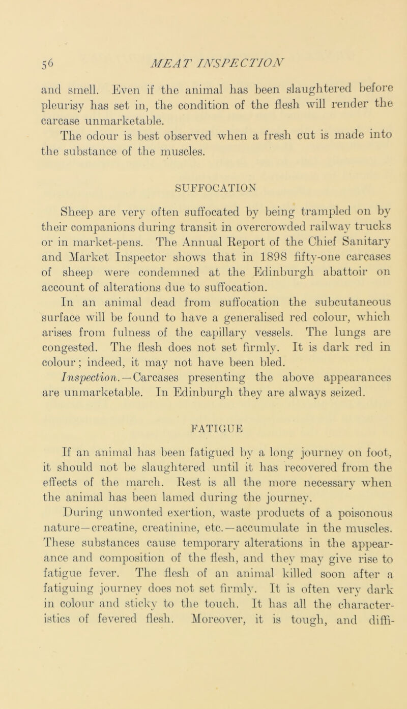 and smell. Even if the animal has been slaughtered before pleurisy has set in, the condition of the flesh will render the carcase unmarketable. The odour is best observed when a fresh cut is made into the substance of the muscles. SUFFOCATION Sheep are very often suffocated by being trampled on by their companions during transit in overcrowded railway trucks or in market-pens. The Annual Report of the Chief Sanitary and Market Inspector shows that in 1898 fifty-one carcases of sheep were condemned at the Edinburgh abattoir on account of alterations due to suffocation. In an animal dead from suffocation the subcutaneous surface will be found to have a generalised red colour, which arises from fulness of the capillary vessels. The lungs are congested. The flesh does not set firmly. It is dark red in colour; indeed, it may not have been bled. Inspection. — Carcases presenting the above appearances are unmarketable. In Edinburgh they are always seized. FATIGUE If an animal has been fatigued by a long journey on foot, it should not be slaughtered until it has recovered from the effects of the march. Rest is all the more necessary when the animal has been lamed during the journey. During unwonted exertion, waste products of a poisonous nature—creatine, creatinine, etc. —accumulate in the muscles. These substances cause temporary alterations in the appear- ance and composition of the flesh, and they may give rise to fatigue fever. The flesh of an animal killed soon after a fatiguing journey does not set firmly. It is often very dark in colour and sticky to the touch. It has all the character- istics of fevered flesh. Moreover, it is tough, and diffi-
