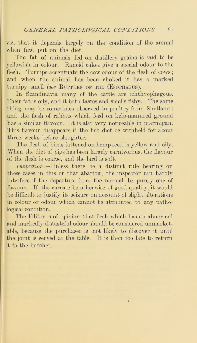 viz. that it depends largely on the condition of the animal when first put on the diet. The fat of animals fed on distillery grains is said to be yellowish in colour. Rancid cakes give a special odour to the flesh. Turnips accentuate the cow odour of the flesh of cows; and when the animal has been choked it has a marked turnipy smell (see Rupture of the (Esophagus). In Scandinavia many of the cattle are ichthyophagous. Their fat is oily, and it both tastes and smells fishv. The same thing may be sometimes observed in poultry from Shetland; and the flesh of rabbits which feed on kelp-manured ground has a similar flavour. It is also very noticeable in ptarmigan. This flavour disappears if the fish diet be withheld for about three weeks before slaughter. The flesh of birds fattened on hemp-seed is yellow and oilv. When the diet of pigs has been largely carnivorous, the flavour of the flesh is coarse, and the lard is soft. Inspection. — Unless there be a distinct rule bearing on these cases in this or that abattoir, the inspector can hardly interfere if the departure from the normal he purely one of flavour. If the carcase be otherwise of good quality, it would be difficult to justify its seizure on account of slight alterations in colour or odour which cannot be attributed to any patho- logical condition. The Editor is of opinion that flesh which has an abnormal and markedly distasteful odour should be considered unmarket- able, because the purchaser is not likely to discover it until the joint is served at the table. It is then too late to return it to the butcher.