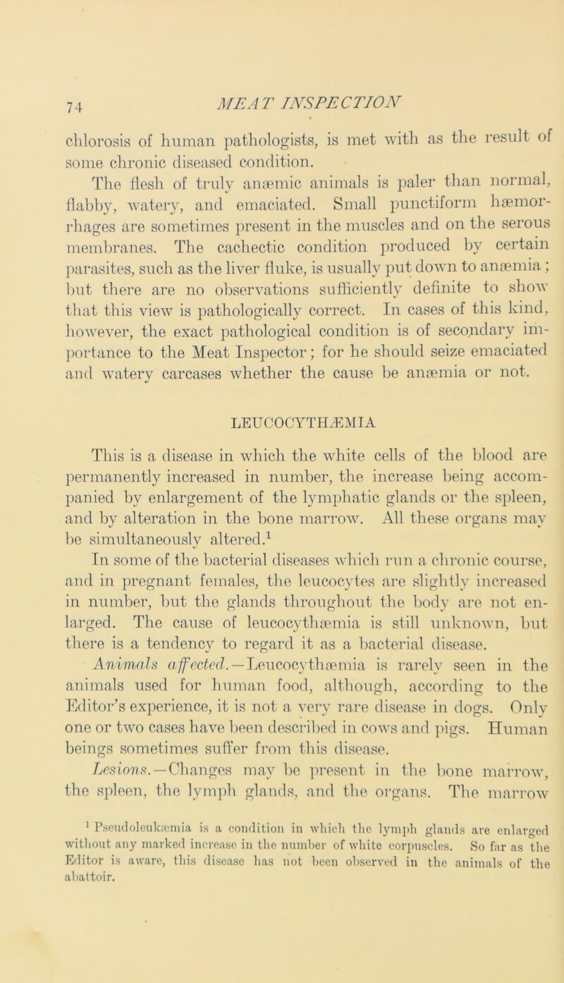 chlorosis of human pathologists, is met with as the result of some chronic diseased condition. The flesh of truly anaemic animals is paler than normal, flabby, watery, and emaciated. Small punctiform haemor- rhages are sometimes present in the muscles and on the serous membranes. The cachectic condition produced by certain parasites, such as the liver fluke, is usually put down to anaemia; but there are no observations sufficiently definite to show that this view is pathologically correct. In cases of this kind, however, the exact pathological condition is of secondary im- portance to the Meat Inspector; for he should seize emaciated and watery carcases whether the cause be anaemia or not. LEUCOCYTEkEMIA This is a disease in which the white cells of the blood are permanently increased in number, the increase being accom- panied by enlargement of the lymphatic glands or the spleen, and by alteration in the bone marrow. All these organs may he simultaneouslv altered.1 In some of the bacterial diseases which run a chronic course, and in pregnant females, the leucocytes are slightly increased in number, but the glands throughout the body are not en- larged. The cause of leucocythaemia is still unknown, but there is a tendency to regard it as a bacterial disease. Animals affected.— Leucocythaemia is rarely seen in the animals used for human food, although, according to the Editor’s experience, it is not a very rare disease in dogs. Only one or two cases have been described in cows and pigs. Human beings sometimes suffer from this disease. Lesions.—Changes may be present in the bone marrow, the spleen, the lymph glands, and the organs. The marrow 1 Pseudoleukaemia is a condition in which the lymph glands are enlarged without any marked increase in the number of white corpuscles. So far as the Editor is aware, this disease has not been observed in the animals of the abattoir.