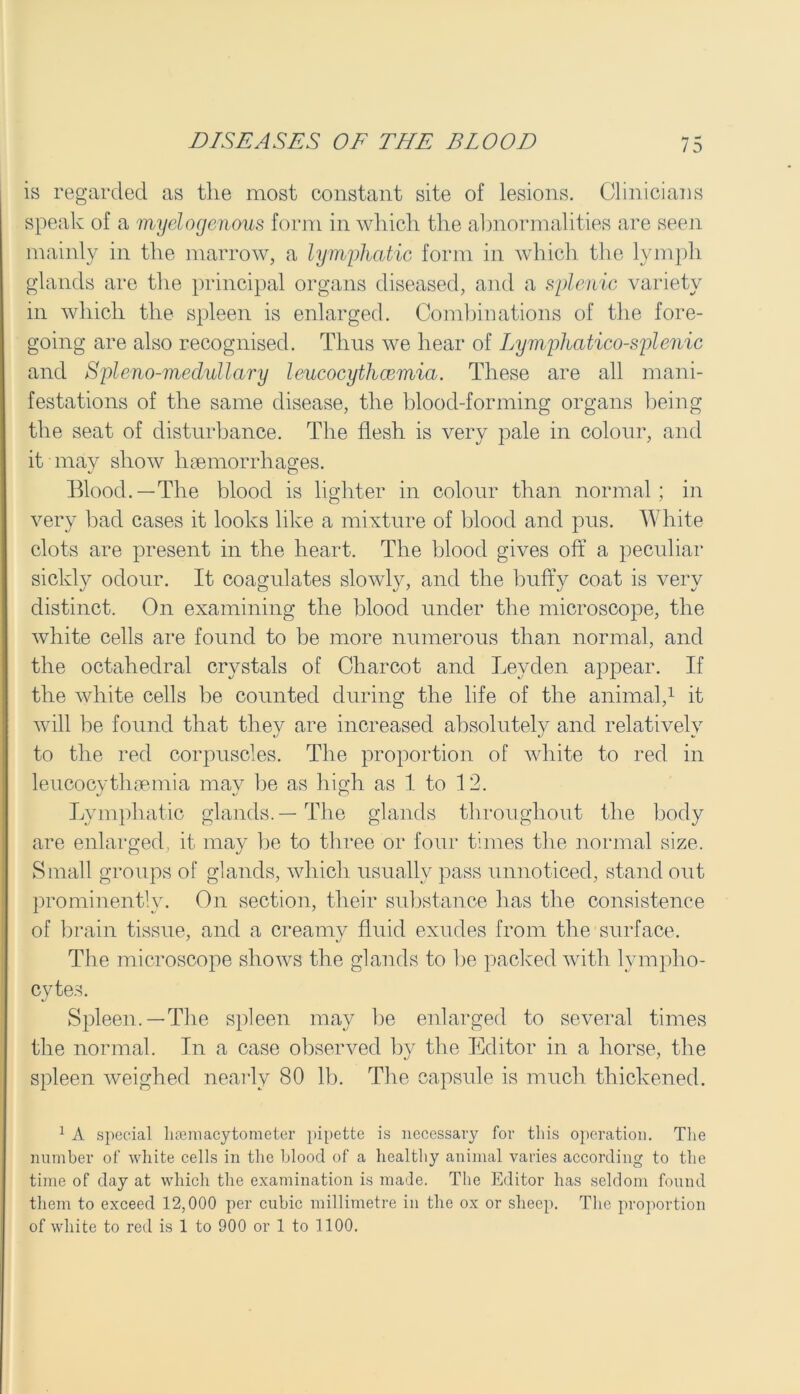 is regarded as the most constant site of lesions. Clinicians speak of a myelogenous form in which the abnormalities are seen mainly in the marrow, a lymphatic form in which the lymph glands are the principal organs diseased, and a splenic variety in which the spleen is enlarged. Combinations of the fore- going are also recognised. Thus we hear of Lympliatico-splenic and Spleno-medullary leucocytlicemia. These are all mani- festations of the same disease, the blood-forming organs being the seat of disturbance. The flesh is very pale in colour, and it may show haemorrhages. Blood.—The blood is lighter in colour than normal; in very bad cases it looks like a mixture of blood and pus. White clots are present in the heart. The blood gives off a peculiar sickly odour. It coagulates slowly, and the huffy coat is very distinct. On examining the blood under the microscope, the white cells are found to be more numerous than normal, and the octahedral crystals of Charcot and Leyden appear. If the white cells be counted during the life of the animal,1 it will be found that they are increased absolutely and relatively to the red corpuscles. The proportion of white to red in leucocytliaemia may be as high as 1 to 12. Lymphatic glands. — The glands throughout the body are enlarged, it may be to three or four times the normal size. Small groups of glands, which usually pass unnoticed, stand out prominently. On section, their substance has the consistence of brain tissue, and a creamy fluid exudes from the surface. The microscope shows the glands to he packed with lympho- cytes. Spleen.—The spleen may be enlarged to several times the normal. In a case observed by the Editor in a horse, the spleen weighed nearly 80 lb. The capsule is much thickened. 1 A special hemacytometer pipette is necessary for this operation. The number of white cells in the blood of a healthy animal varies according to the time of day at which the examination is made. The Editor has seldom found them to exceed 12,000 per cubic millimetre in the ox or sheep. The proportion of white to red is 1 to 900 or 1 to 1100.