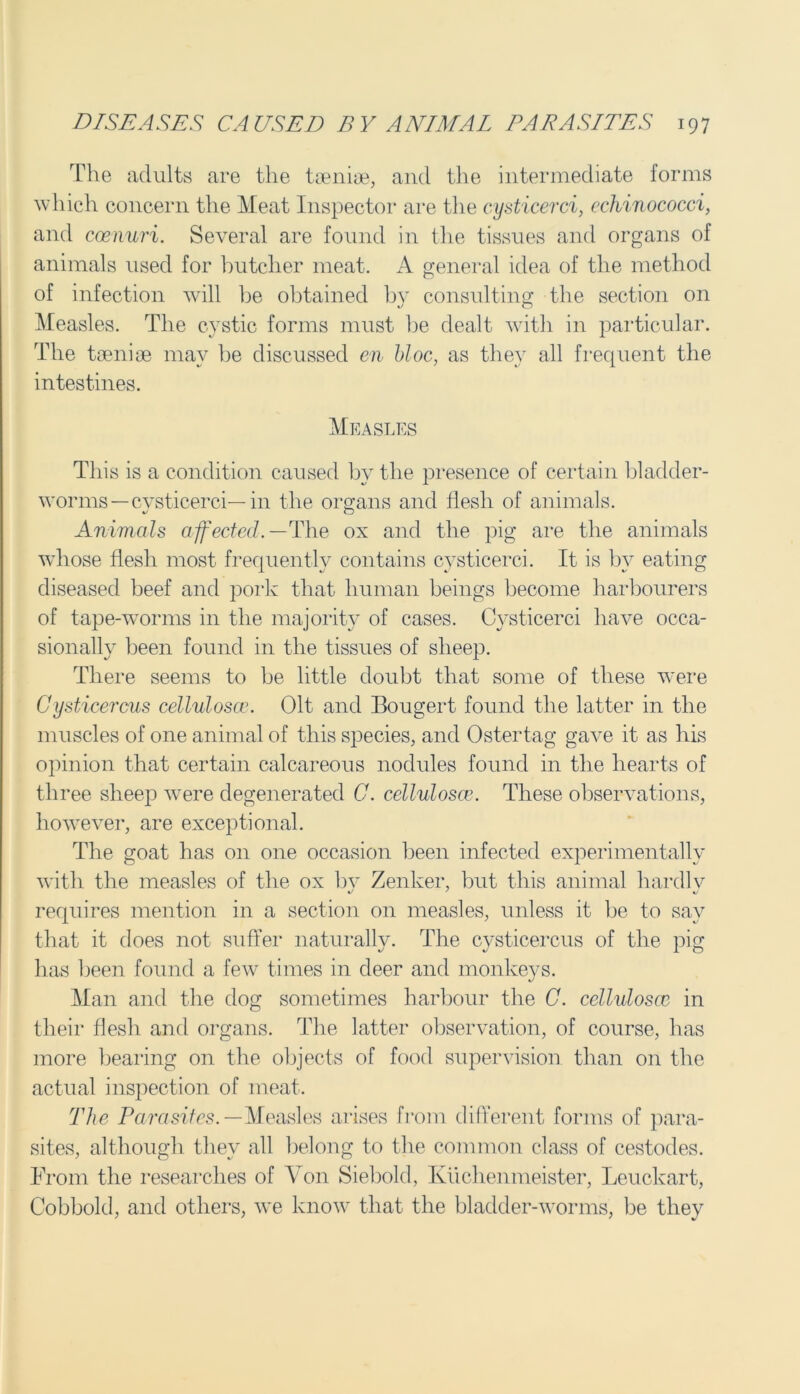 The adults are the taeniae, and the intermediate forms which concern the Meat Inspector are the cysticerci, echinococci, and coenuri. Several are found in the tissues and organs of animals used for butcher meat. A general idea of the method of infection will be obtained by consulting the section on Measles. The cystic forms must be dealt with in particular. The taeniae may be discussed en bloc, as they all frequent the intestines. Measles This is a condition caused by the presence of certain bladder- worms—cvsticerci—in the organs and flesh of animals. Animals affected.— The ox and the pig are the animals whose flesh most frequently contains cysticerci. It is by eating diseased beef and pork that human beings become harbourers of tape-worms in the majority of cases. Cysticerci have occa- sionally been found in the tissues of sheep. There seems to be little doubt that some of these were Cysticercus celluloscc. Olt and Bougert found the latter in the muscles of one animal of this species, and Ostertag gave it as his opinion that certain calcareous nodules found in the hearts of three sheep were degenerated C. celluloscc. These observations, however, are exceptional. The goat has on one occasion been infected experimentally with the measles of the ox by Zenker, but this animal hardlv requires mention in a section on measles, unless it be to say that it does not suffer naturally. The cysticercus of the pig has been found a few times in deer and monkeys. Man and the dog sometimes harbour the C. celluloscc in their flesh and organs. The latter observation, of course, has more bearing on the objects of food supervision than on the actual inspection of meat. The Parasites.— Measles arises from different forms of para- sites, although they all belong to the common class of cestodes. From the researches of Yon Siebold, Kuchenmeister, Leuckart, Cobbold, and others, we know that the bladder-worms, be they