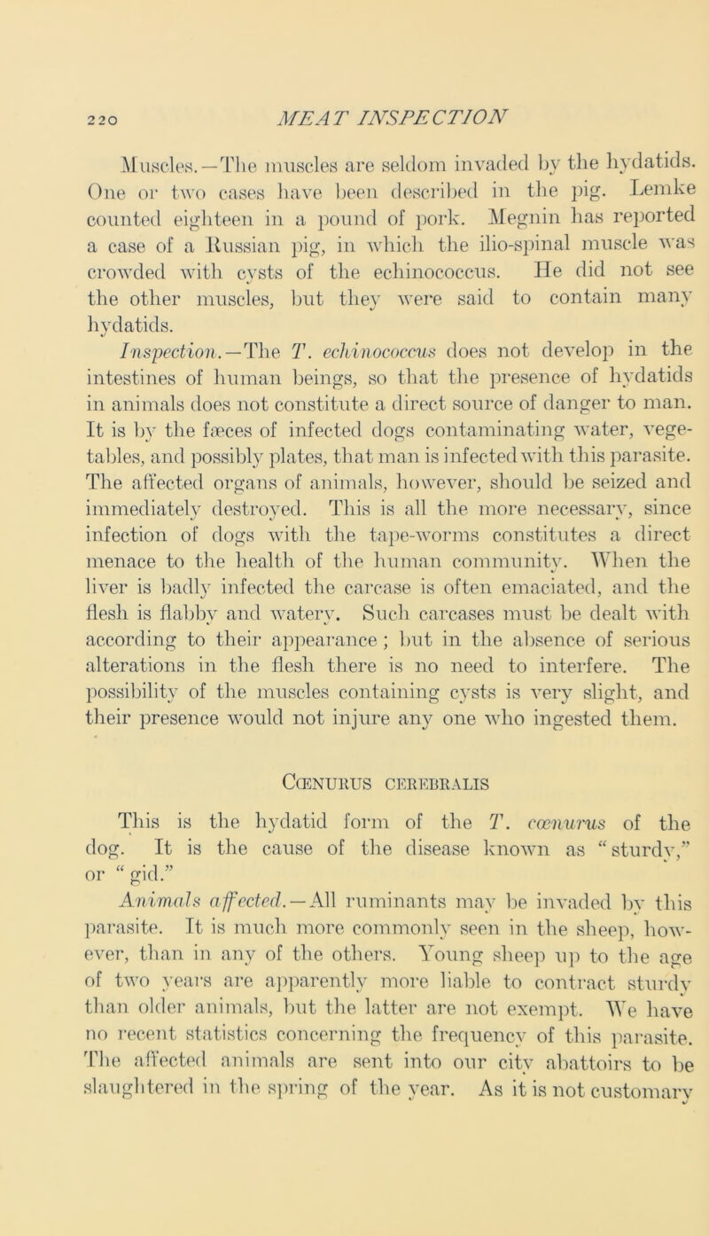 Muscles.—The muscles are seldom invaded by the hydatids. One or two cases have been described in the pig. Lemke counted eighteen in a pound of pork. Megnin has reported a case of a ltussian pig, in which the ilio-spinal muscle was crowded with cysts of the echinococcus. He did not see the other muscles, but they were said to contain many hydatids. Inspection.—The T. echinococcus does not develop in the intestines of human beings, so that the presence of hydatids in animals does not constitute a direct source of danger to man. It is by the faeces of infected dogs contaminating water, vege- tables, and possibly plates, that man is infected with this parasite. The affected organs of animals, however, should be seized and immediately destroyed. This is all the more necessary, since infection of dogs with the tape-worms constitutes a direct menace to the health of the human community. When the liver is badly infected the carcase is often emaciated, and the flesh is flabby and watery. Such carcases must be dealt with according to their appearance ; but in the absence of serious alterations in the flesh there is no need to interfere. The possibility of the muscles containing cysts is very slight, and their presence would not injure any one who ingested them. C(ENURUS CEREBRALIS This is the hydatid form of the T. coenurus of the dog. It is the cause of the disease known as “sturdy,” or “ gid.” Animals affected. — All ruminants may be invaded by this parasite. It is much more commonly seen in the sheep, how- ever, than in any of the others. Young sheep up to the age of two years are apparently more liable to contract sturdy than older animals, but the latter are not exempt. We have no recent statistics concerning the frequency of this parasite. The affected animals are sent into our city abattoirs to be slaughtered in the spring of the year. As it is not customary