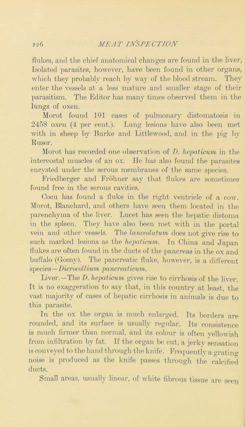 flukes, and the chief anatomical changes are found in the liver, Isolated parasites, however, have been found in other organs, which they probably reach by way of the blood stream. They enter the vessels at a less mature and smaller stage of their parasitism. The Editor has many times observed them in the lungs of oxen. Morot found 101 cases of pulmonary distomatosis in 2458 oxen (4 per cent.). Lung lesions have also been met with in sheep by Burke and Littlewood, and in the pig bv Ttuser. Morot has recorded one observation of D. hepaticum in the intercostal muscles of an ox. He has also found the parasites encysted under the serous membranes of the same species. Friedberger and Frohner say that flukes are sometimes found free in the serous cavities. Cocu has found a fluke in the right ventricle of a cow. Morot, Blanchard, and others have seen them located in the parenchyma of the liver. Lucet has seen the hepatic distoma in the spleen. They have also been met with in the portal vein and other vessels. The lanceolatum does not give rise to such marked lesions as the hepaticum. In China and Japan flukes are often found in the ducts of the pancreas in the ox and buffalo (Corny). The pancreatic fluke, however, is a different species—Dicrocollium pancreaticum. Liver.—The D. hepaticum gives rise to cirrhosis of the liver. It is no exaggeration to say that, in this country at least, the vast majority of cases of hepatic cirrhosis in animals is due to this parasite. In the ox the organ is much enlarged. Its borders are rounded, and its surface is usually regular. Its consistence is much firmer than normal, and its colour is often vellowisli from infiltration by fat. If the organ be cut, a jerky sensation is conveyed to the hand through the knife. Frequently a gratino* noise is produced as the knife passes through the calcified ducts. Small areas, usually linear, of white fibrous tissue are seen
