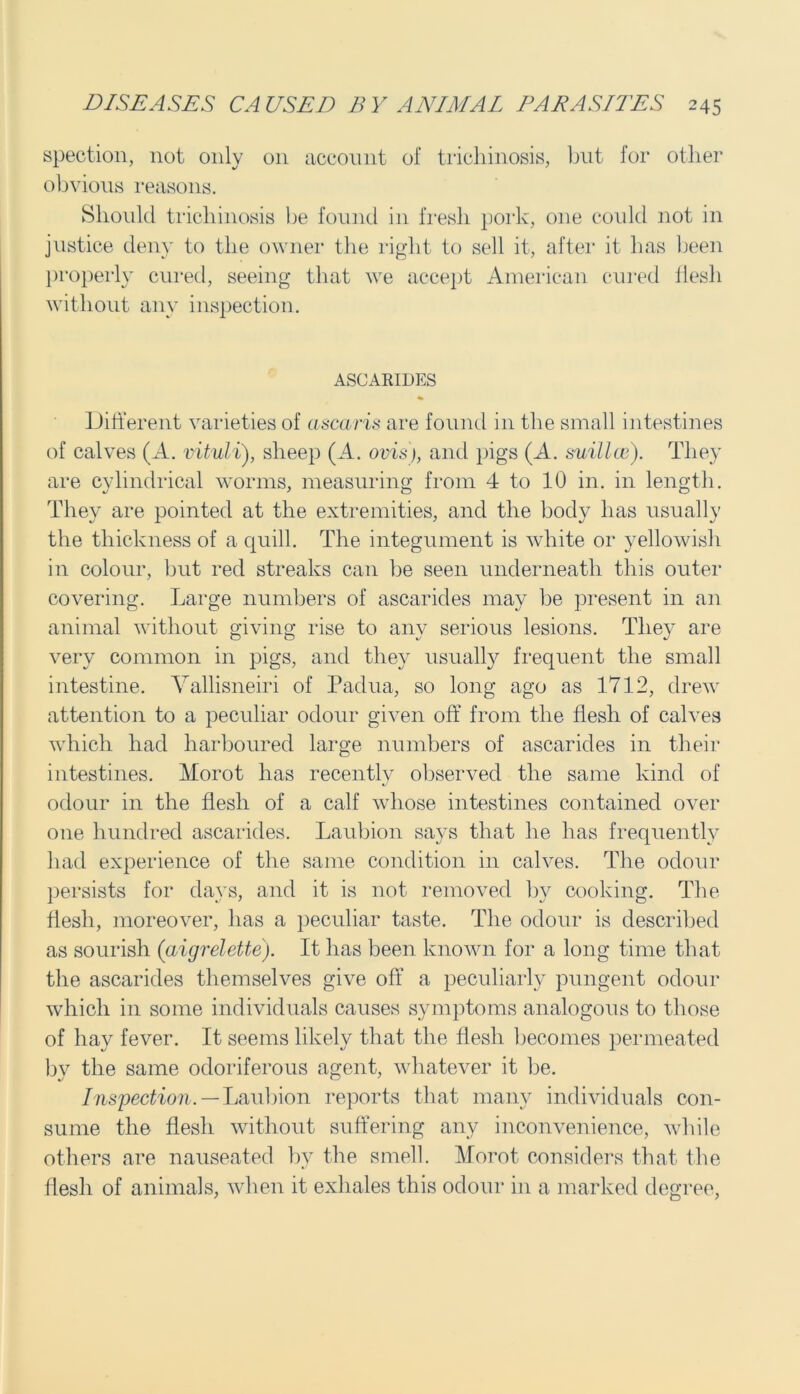 spection, not only on account of trichinosis, but for other obvious reasons. Should trichinosis be found in fresh pork, one could not in justice deny to the owner the right to sell it, after it has been properly cured, seeing that we accept American cured flesh without any inspection. ASCARIDES % Different varieties of ascaris are found in the small intestines of calves (A. vituli), sheep (A. ovis), and pigs (A. suillce). They are cylindrical worms, measuring from 4 to 10 in. in length. They are pointed at the extremities, and the body has usually the thickness of a quill. The integument is white or yellowish in colour, but red streaks can be seen underneath this outer covering. Large numbers of ascarides may be present in an animal without giving rise to any serious lesions. They are very common in pigs, and they usually frequent the small intestine. Vallisneiri of Padua, so long ago as 1712, drew attention to a peculiar odour given off from the flesh of calves which had harboured large numbers of ascarides in their intestines. Morot has recently observed the same kind of odour in the flesh of a calf whose intestines contained over one hundred ascarides. Laubion says that he has frequently had experience of the same condition in calves. The odour persists for days, and it is not removed by cooking. The flesh, moreover, has a peculiar taste. The odour is described as sourish (aigrelette). It has been known for a long time that the ascarides themselves give off a peculiarly pungent odour which in some individuals causes symptoms analogous to those of hay fever. It seems likely that the flesh becomes permeated by the same odoriferous agent, whatever it be. Inspection. — Laubion reports that many individuals con- sume the flesh without suffering any inconvenience, while others are nauseated by the smell. Morot considers that the flesh of animals, when it exhales this odour in a marked degree,