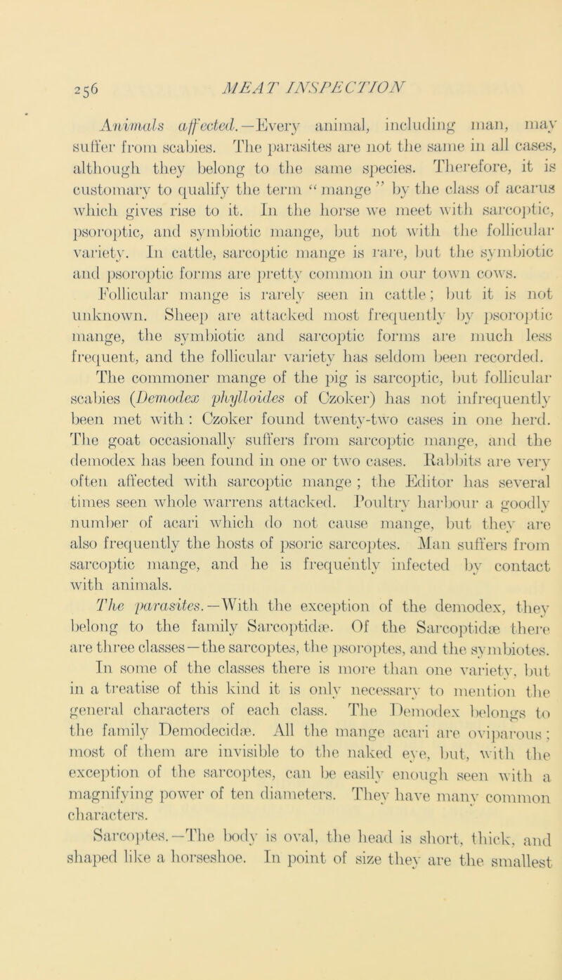 Animals affected. —Every animal, including man, may although they belong to the same species. Therefore, it is customary to qualify the term “mange ” by the class ol acarus which gives rise to it. I11 the horse we meet with sarcoptic, psoroptic, and symbiotic mange, but not with the follicular variety. In cattle, sarcoptic mange is rare, but the symbiotic and psoroptic forms are pretty common in our town cows. Follicular mange is rarely seen in cattle; but it is not unknown. Sheep are attacked most frequently by psoroptic mange, the symbiotic and sarcoptic forms are much less frequent, and the follicular variety has seldom been recorded. The commoner mange of the pig is sarcoptic, but follicular scabies (Demodex phylloides of Czoker) has not infrequently been met with : Czoker found twenty-two cases in one herd. The goat occasionally suffers from sarcoptic mange, and the demodex has been found in one or two cases. Rabbits are very often affected with sarcoptic mange ; the Editor has several times seen whole warrens attacked. Poultry harbour a goodly number of acari which do not cause mange, but they are also frequently the hosts of psoric sarcoptes. Man suffers from sarcoptic mange, and he is frequently infected by contact with animals. The parasites.— With the exception of the demodex, they belong to the family Sarcoptidae. Of the Sarcoptidse there are three classes—the sarcoptes, the psoroptes, and the symbiotes. In some of the classes there is more than one variety, but in a treatise of this kind it is only necessary to mention the general characters of each class. The Demodex belongs to the family Demodecidse. All the mange acari are oviparous: most of them are invisible to the naked eye, but, with the exception of the sarcoptes, can be easily enough seen with a magnifying power of ten diameters. They have many common characters. Sarcoptes.—The body is oval, the head is short, thick, and shaped like a horseshoe. In point of size they are the smallest
