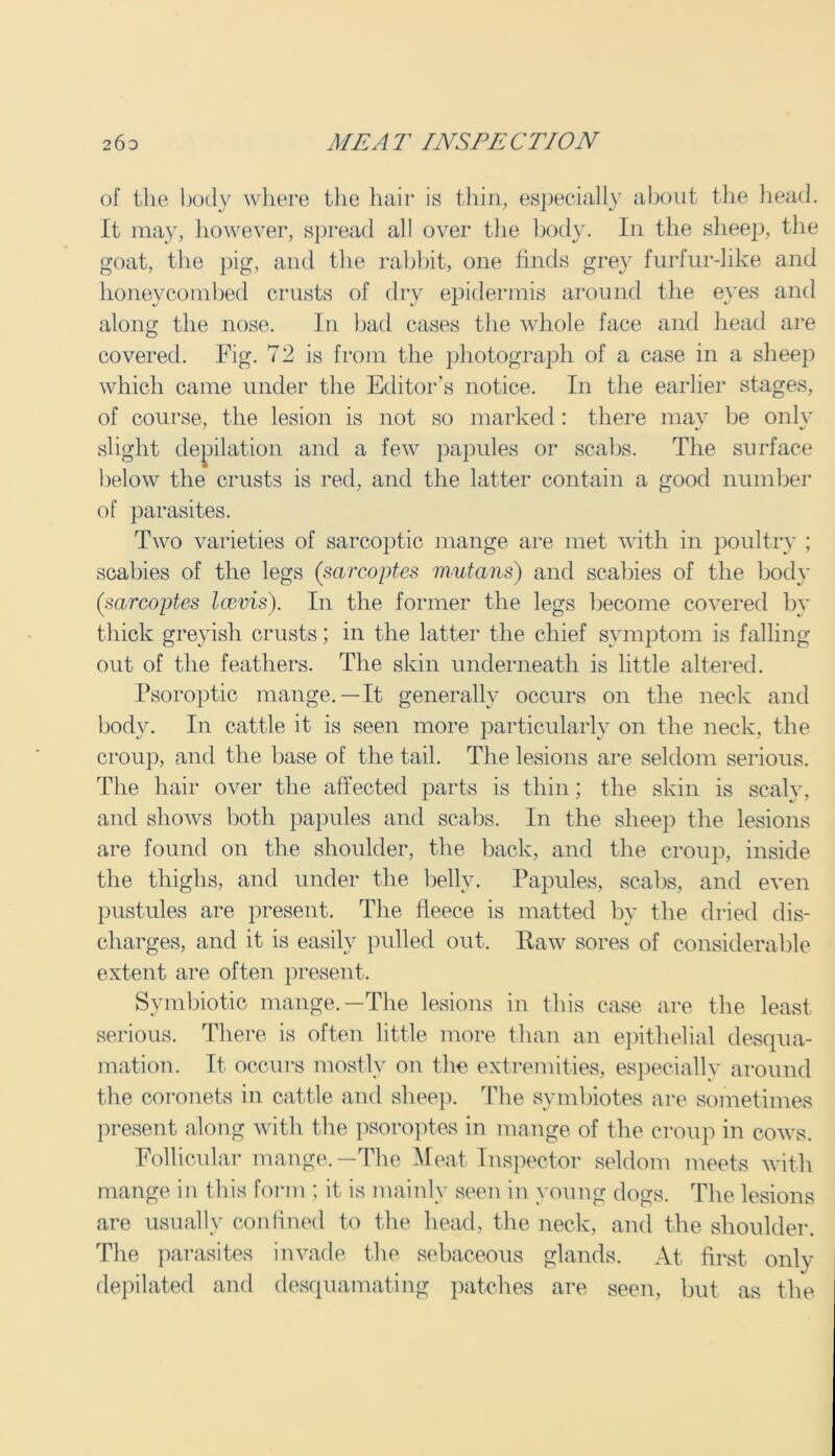 of the body where the hair is thin, especially about the head. It may, however, spread all over the body. In the sheep, the goat, the pig, and the rabbit, one finds grey furfur-like and honeycombed crusts of dry epidermis around the eyes and along the nose. In bad cases the whole face and head are covered. Fig. 72 is from the photograph of a case in a sheep which came under the Editor’s notice. In the earlier stages, of course, the lesion is not so marked: there may be onlv slight deflation and a few papules or scabs. The surface below the crusts is red, and the latter contain a good number of parasites. Two varieties of sarcoptic mange are met with in poultry ; scabies of the legs (sarcoptes mutans) and scabies of the body (.sarcoptes lewis). In the former the legs become covered by thick greyish crusts; in the latter the chief symptom is falling out of the feathers. The skin underneath is little altered. Psoroptic mange.—It generally occurs on the neck and body. In cattle it is seen more particularly on the neck, the croup, and the base of the tail. The lesions are seldom serious. The hair over the affected parts is thin; the skin is scaly, and shows both papules and scabs. In the sheep the lesions are found on the shoulder, the back, and the croup, inside the thighs, and under the belly. Papules, scabs, and even pustules are present. The fleece is matted by the dried dis- charges, and it is easily pulled out. Raw sores of considerable extent are often present. Symbiotic mange.—The lesions in this case are the least serious. There is often little more than an epithelial desqua- mation. It occurs mostly on the extremities, especially around the coronets in cattle and sheep. The symbiotes are sometimes present along with the psoroptes in mange of the croup in cows. Follicular mange.—The Meat Inspector seldom meets with mange in this form ; it is mainly seen in young dogs. The lesions are usually confined to the head, the neck, and the shoulder. The parasites invade the sebaceous glands. At first only depilated and desquamating patches are seen, but as the