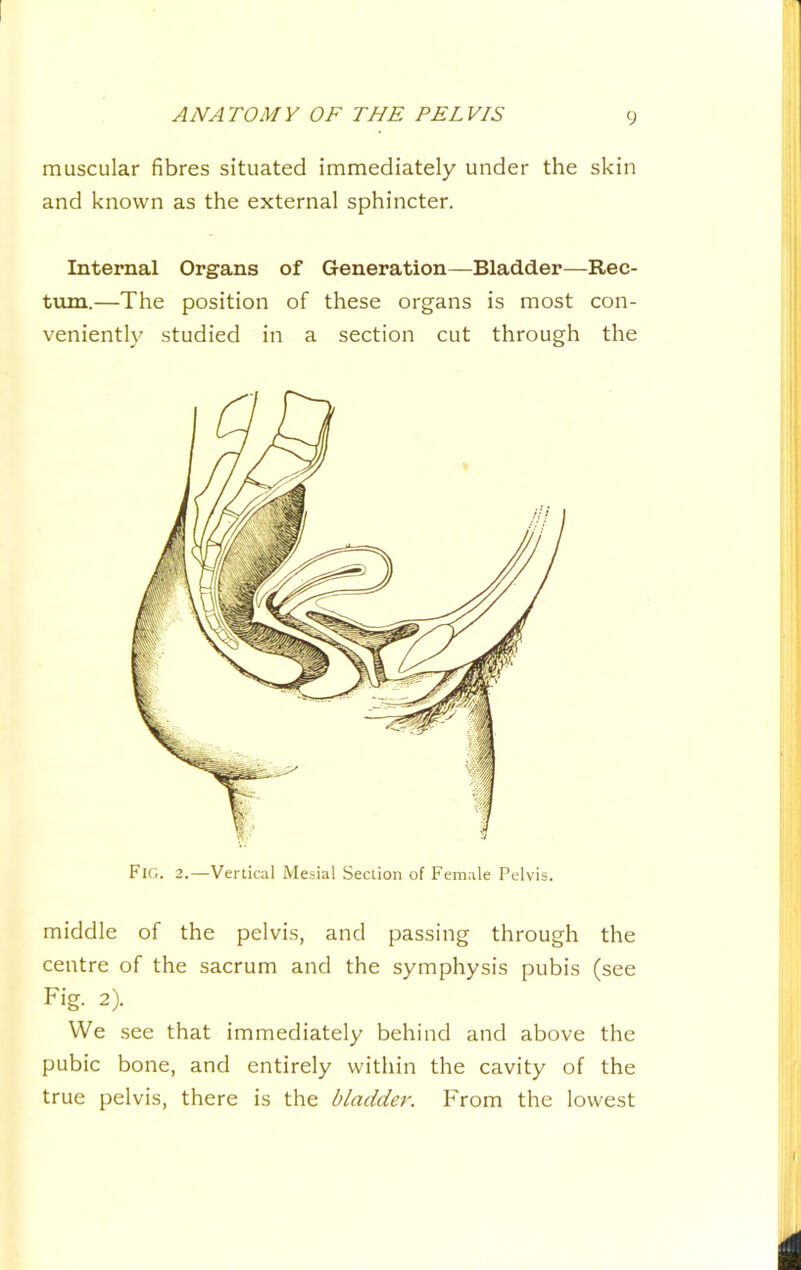 muscular fibres situated immediately under the skin and known as the external sphincter. Internal Organs of Generation—Bladder—Rec- tum.—The position of these organs is most con- veniently studied in a section cut through the Fig. 2.—Verlical Mesial Section of Female Pelvis. middle of the pelvis, and passing through the centre of the sacrum and the symphysis pubis (see Fig. 2). We see that immediately behind and above the pubic bone, and entirely within the cavity of the true pelvis, there is the bladder. From the lowest