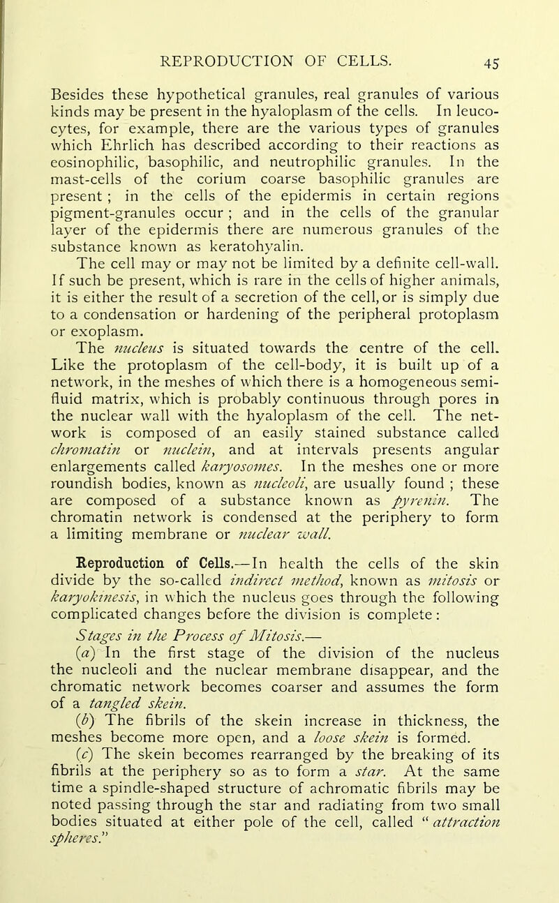 REPRODUCTION OF CELLS. Besides these hypothetical granules, real granules of various kinds may be present in the hyaloplasm of the cells. In leuco- cytes, for example, there are the various types of granules which Ehrlich has described according to their reactions as eosinophilic, basophilic, and neutrophilic granules. In the mast-cells of the corium coarse basophilic granules are present ; in the cells of the epidermis in certain regions pigment-granules occur; and in the cells of the granular layer of the epidermis there are numerous granules of the substance known as keratohyalin. The cell may or may not be limited by a definite cell-wall. If such be present, which is rare in the cells of higher animals, it is either the result of a secretion of the cell, or is simply due to a condensation or hardening of the peripheral protoplasm or exoplasm. The nucleus is situated towards the centre of the cell. Like the protoplasm of the cell-body, it is built up of a network, in the meshes of which there is a homogeneous semi- fluid matrix, which is probably continuous through pores in the nuclear wall with the hyaloplasm of the cell. The net- work is composed of an easily stained substance called chromatin or nuclein, and at intervals presents angular enlargements called karyosomes. In the meshes one or more roundish bodies, known as nucleoli, are usually found ; these are composed of a substance known as pyrenin. The chromatin network is condensed at the periphery to form a limiting membrane or nuclear wall. Reproduction of Cells.—In health the cells of the skin divide by the so-called indirect method, known as mitosis or karyokinesis, in which the nucleus goes through the following complicated changes before the division is complete: Stages in the Process of Mitosis.— (a) In the first stage of the division of the nucleus the nucleoli and the nuclear membrane disappear, and the chromatic network becomes coarser and assumes the form of a tangled skein. (p) The fibrils of the skein increase in thickness, the meshes become more open, and a loose skein is formed. (V) The skein becomes rearranged by the breaking of its fibrils at the periphery so as to form a star. At the same time a spindle-shaped structure of achromatic fibrils may be noted passing through the star and radiating from two small bodies situated at either pole of the cell, called “ attraction spheres.”