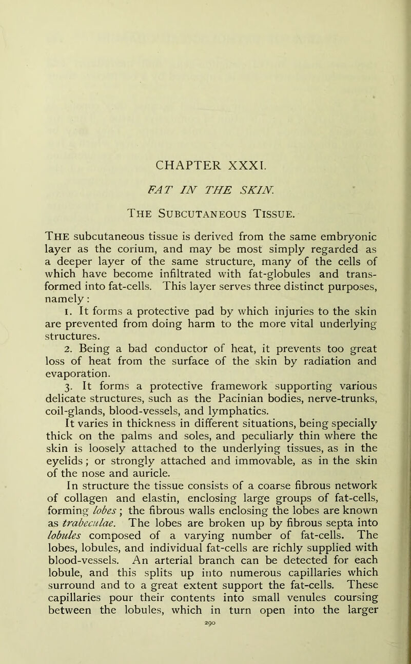 CHAPTER XXXI. FAT IN THE SKIN The Subcutaneous Tissue. The subcutaneous tissue is derived from the same embryonic layer as the corium, and may be most simply regarded as a deeper layer of the same structure, many of the cells of which have become infiltrated with fat-globules and trans- formed into fat-cells. This layer serves three distinct purposes, namely: 1. It forms a protective pad by which injuries to the skin are prevented from doing harm to the more vital underlying structures. 2. Being a bad conductor of heat, it prevents too great loss of heat from the surface of the skin by radiation and evaporation. 3. It forms a protective framework supporting various delicate structures, such as the Pacinian bodies, nerve-trunks, coil-glands, blood-vessels, and lymphatics. It varies in thickness in different situations, being specially thick on the palms and soles, and peculiarly thin where the skin is loosely attached to the underlying tissues, as in the eyelids; or strongly attached and immovable, as in the skin of the nose and auricle. In structure the tissue consists of a coarse fibrous network of collagen and elastin, enclosing large groups of fat-cells, forming lobes; the fibrous walls enclosing the lobes are known as trabeculae. The lobes are broken up by fibrous septa into lobules composed of a varying number of fat-cells. The lobes, lobules, and individual fat-cells are richly supplied with blood-vessels. An arterial branch can be detected for each lobule, and this splits up into numerous capillaries which surround and to a great extent support the fat-cells. These capillaries pour their contents into small venules coursing between the lobules, which in turn open into the larger