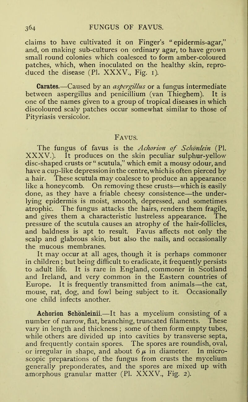 claims to have cultivated it on Finger’s “ epidermis-agar,” and, on making sub-cultures on ordinary agar, to have grown small round colonies which coalesced to form amber-coloured patches, which, when inoculated on the healthy skin, repro- duced the disease (PI. XXXV., Fig. i). Carates.—Caused by an aspergillus or a fungus intermediate between aspergillus and penicillium (van Thieghem). It is one of the names given to a group of tropical diseases in which discoloured scaly patches occur somewhat similar to those of Pityriasis versicolor. Favus. The fungus of favus is the Acliorion of ScJionlein (PI. XXXV.). It produces on the skin peculiar sulphur-yellow disc-shaped crusts or “ scutula,” which emit a mousy odour, and have a cup-like depression in the centre,whichis often pierced by a hair. These scutula may coalesce to produce an appearance like a honeycomb. On removing these crusts—-which is easily done, as they have a friable cheesy consistence—the under- lying epidermis is moist, smooth, depressed, and sometimes atrophic. The fungus attacks the hairs, renders them fragile, and gives them a characteristic lustreless appearance. The pressure of the scutula causes an atrophy of the hair-follicles, and baldness is apt to result. Favus affects not only the scalp and glabrous skin, but also the nails, and occasionally the mucous membranes. It may occur at all ages, though it is perhaps commoner in children ; but being difficult to eradicate, it frequently persists to adult life. It is rare in England, commoner in Scotland and Ireland, and very common in the Eastern countries of Europe. It is frequently transmitted from animals—the cat, mouse, rat, dog, and fowl being subject to it. Occasionally one child infects another. Achorion Schonleinii.—It has a mycelium consisting of a number of narrow, flat, branching, truncated filaments. These vary in length and thickness ; some of them form empty tubes, while others are divided up into cavities by transverse septa, and frequently contain spores. The spores are roundish, oval, or irregular in shape, and about 6 g in diameter. In micro- scopic preparations of the fungus from crusts the mycelium generally preponderates, and the spores are mixed up with amorphous granular matter (PI. XXXV., Fig. 2).