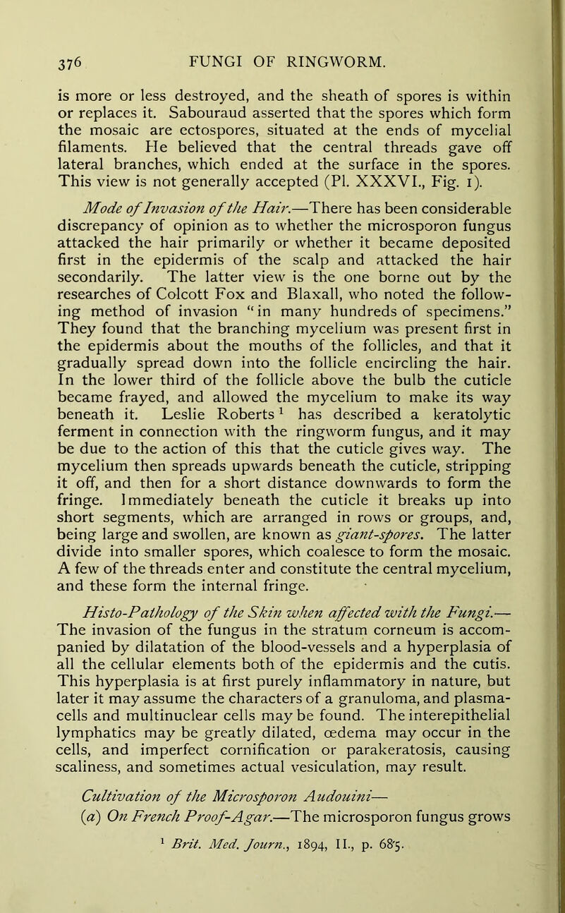 is more or less destroyed, and the sheath of spores is within or replaces it. Sabouraud asserted that the spores which form the mosaic are ectospores, situated at the ends of mycelial filaments. Fie believed that the central threads gave off lateral branches, which ended at the surface in the spores. This view is not generally accepted (PI. XXXVI., F'ig. i). Mode of Invasion of the Hair.—There has been considerable discrepancy of opinion as to whether the microsporon fungus attacked the hair primarily or whether it became deposited first in the epidermis of the scalp and attacked the hair secondarily. The latter view is the one borne out by the researches of Colcott Fox and Blaxall, who noted the follow- ing method of invasion “ in many hundreds of specimens.” They found that the branching mycelium was present first in the epidermis about the mouths of the follicles, and that it gradually spread down into the follicle encircling the hair. In the lower third of the follicle above the bulb the cuticle became frayed, and allowed the mycelium to make its way beneath it. Leslie Roberts1 has described a keratolytic ferment in connection with the ringworm fungus, and it may be due to the action of this that the cuticle gives way. The mycelium then spreads upwards beneath the cuticle, stripping it off, and then for a short distance downwards to form the fringe. Immediately beneath the cuticle it breaks up into short segments, which are arranged in rows or groups, and, being large and swollen, are known as giant-spores. The latter divide into smaller spores, which coalesce to form the mosaic. A few of the threads enter and constitute the central mycelium, and these form the internal fringe. His to-Pathology of the Skin when affected with the Fungi.— The invasion of the fungus in the stratum corneum is accom- panied by dilatation of the blood-vessels and a hyperplasia of all the cellular elements both of the epidermis and the cutis. This hyperplasia is at first purely inflammatory in nature, but later it may assume the characters of a granuloma, and plasma- cells and multinuclear cells maybe found. Theinterepithelial lymphatics may be greatly dilated, oedema may occur in the cells, and imperfect cornification or parakeratosis, causing scaliness, and sometimes actual vesiculation, may result. Cultivation of the Microsporon Audouini— (a) On French Proof-Agar.—The microsporon fungus grows
