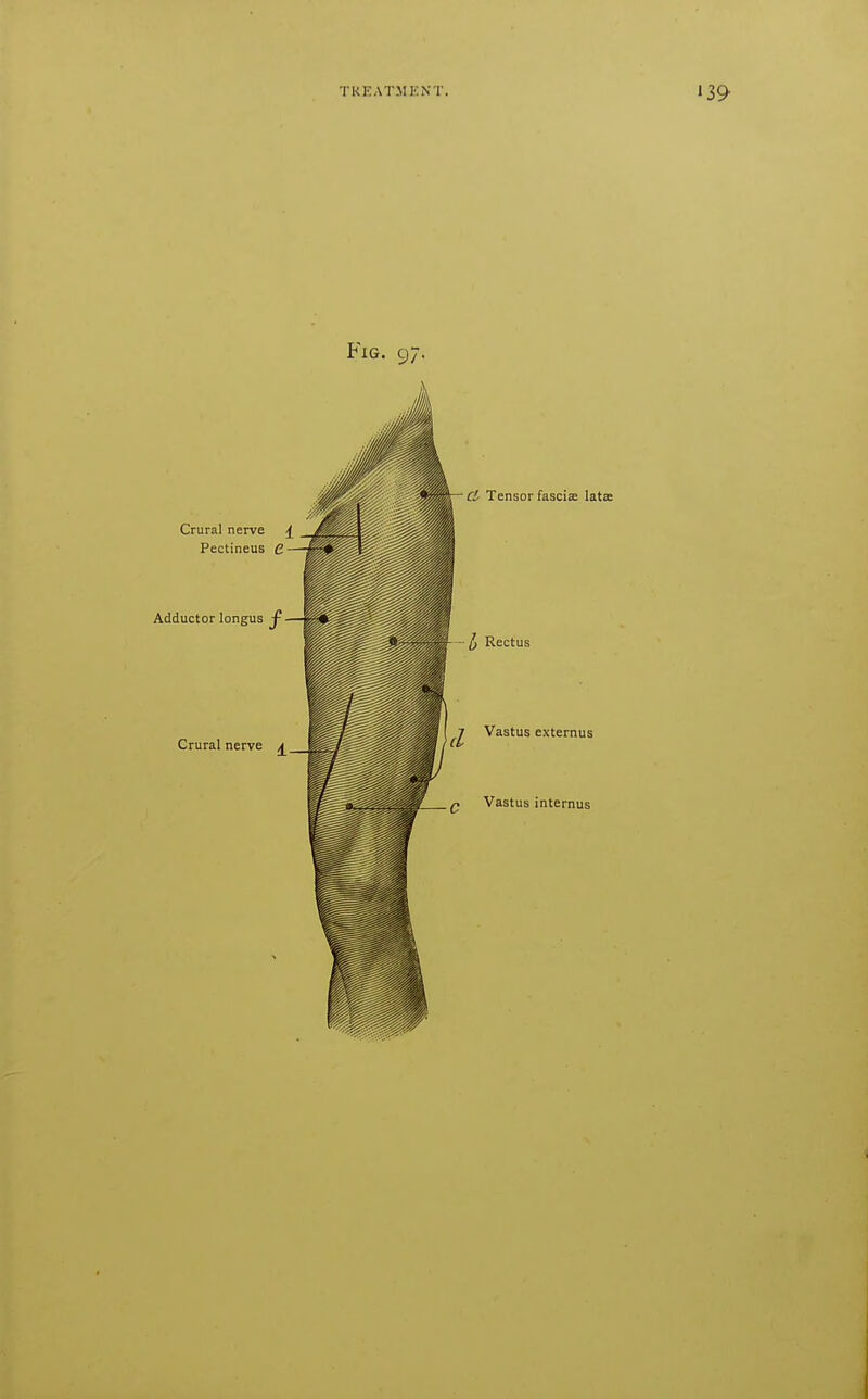 Fig. 97. Crural nerve £ Pectineus C Adductor longus ^ Crural nerve ^ Cl Tensor fasciae lata: J) Rectus -j^ Vastus externus Q Vastus internus