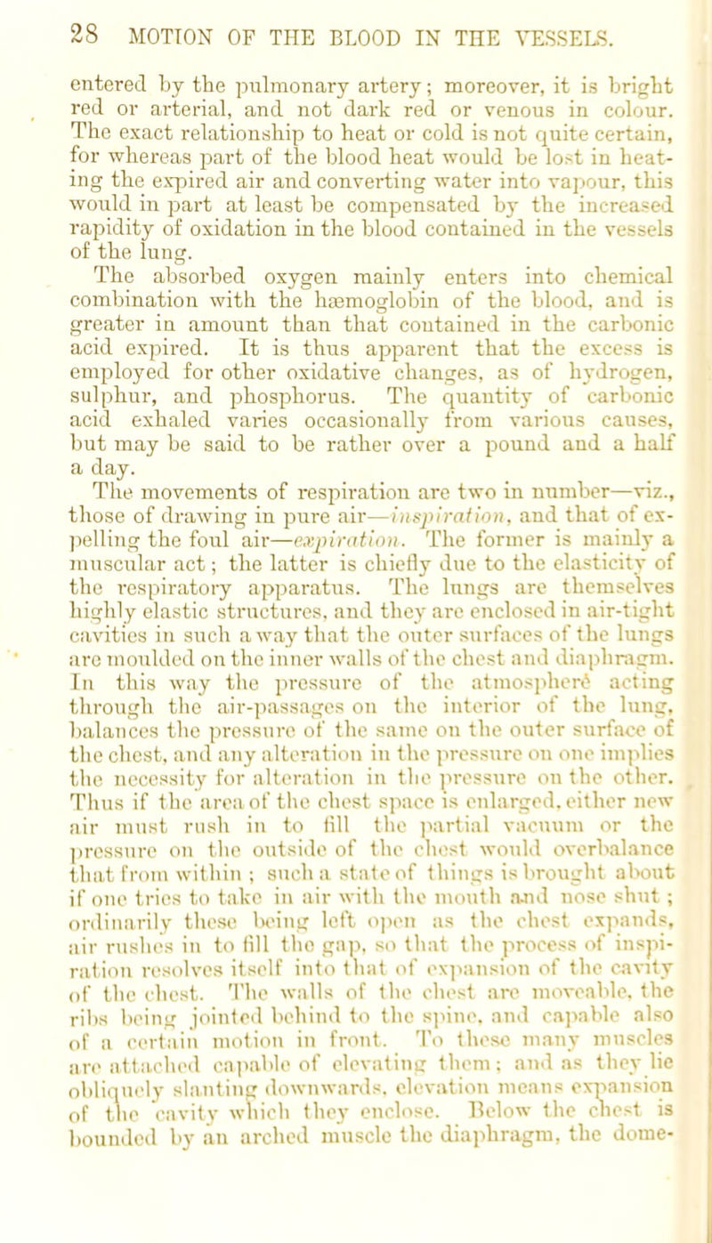 entered by the pulmonary artery; moreover, it is bright red or arterial, and not dark red or venous in colour. The exact relationship to heat or cold is not quite certain, for whereas part of the blood heat would be lost in heat- ing the expired air and converting water into vapour, this would in part at least be compensated by the increased rapidity of oxidation in the blood contained in the vessels of the lung. The absorbed oxygen mainly enters into chemical combination with the haemoglobin of the blood, and is greater in amount than that contained in the carbonic acid expired. It is thus apparent that the excess is employed for other oxidative changes, as of hydrogen, sulphur, and phosphorus. The quantity of carbonic acid exhaled varies occasionally from various causes, but may be said to be rather over a pound and a half a day. The movements of respiration are two in number—viz., those of drawing in pure air—inspiration, and that of ex- pelling the foul air—expiration. The former is mainly a muscular act; the latter is chiefly due to the elasticity of the respiratory apparatus. The lungs are themselves highly elastic structures, and they are enclosed in air-tight cavities in such away that the outer surfaces of the lungs arc moulded on the inner walls of the chest and diaphragm. In this way the pressure of the atmosphere acting through the air-passages on the interior of the lung, balances the pressure of the same on the outer surface of the chest, and any alteration in the pressure on one implies the necessity for alteration in the pressure on the other. Thus if the area of the chest space is enlarged, either new air must rush in to fill the partial vacuum or the pressure on the outside of the chest would overbalance that from within ; such a state of things is brought about if one tries to take in air with the mouth and nose shut ; ordinarily these being left open as the chest expands, air rushes in to till the gap. so that the process of inspi- ration resolves itself into that of expansion of the cavity of the chest. The walls of the chest are moveable, the ribs being jointed behind to the spine, and capable also of a certain motion in front. To these many muscles are attached capable of elevating them; and as they lie obliquely slanting downwards, elevation means expansion of the cavity which they enclose. Below the chest is bounded by an arched muscle the diaphragm, the dome-