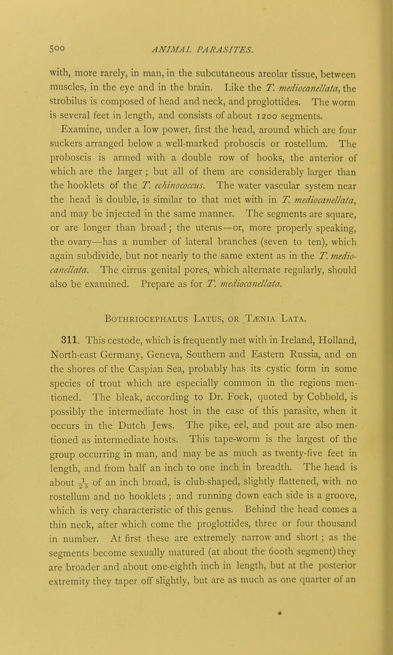 with, more rarely, in man, in the subcutaneous areolar tissue, between muscles, in the eye and in the brain. Like the T. mediocaiiellata, the strobilus is composed of head and neck, and proglottides. The worm is several feet in length, and consists of about 1200 segments. Examine, under a low power, first the head, around which are four suckers arranged below a well-marked proboscis or rostellum. The proboscis is armed with a double row of hooks, the anterior of which are the larger; but all of them are considerably larger than the booklets of the T. cchinococciis. The water vascular system near the head is double, is similar to that met with in T. rnediocaiiellaia, and may be injected in the same manner. The segments are square, or are longer than broad ; the uterus—or, more properly speaking, the ovary—has a number of lateral branches (seven to ten), which again subdivide, but not nearly to the same extent as in the T. 7iiedio- canellata. The cirrus genital pores, which alternate regularly, should also be examined. Prepare as for T. mediocanellaia. BOTHRIOCEPHALUS LaTUS, OR T^NIA LaTA. 311. This cestode, which is frequently met with in Ireland, Holland, North-east Germany, Geneva, Southern and Eastern Russia, and on the shores of the Caspian Sea, probably has its cystic form in some species of trout which are especially common in the regions men- tioned. The bleak, according to Dr. Fock, quoted by Cobbold, is possibly the intermediate host in the case of this parasite, when it occurs in the Dutch Jews. The pike, eel, and pout are also men- tioned as intermediate hosts. This tape-worm is the largest of the group occurring in man, and may be as much as twenty-five feet in length, and from half an inch to one inch in breadth. The head is about of an inch broad, is club-shaped, slightly flattened, with no rostellum and no booklets ; and running down each side is a groove, which is very characteristic of this genus. Behind the head comes a thin neck, after which come the proglottides, three or four thousand in number. At first these are extremely narrow and short; as the segments become sexually matured (at about the 600th segment) they are broader and about one-eighth inch in length, but at the posterior extremity they taper off slightly, but are as much as one quarter of an •