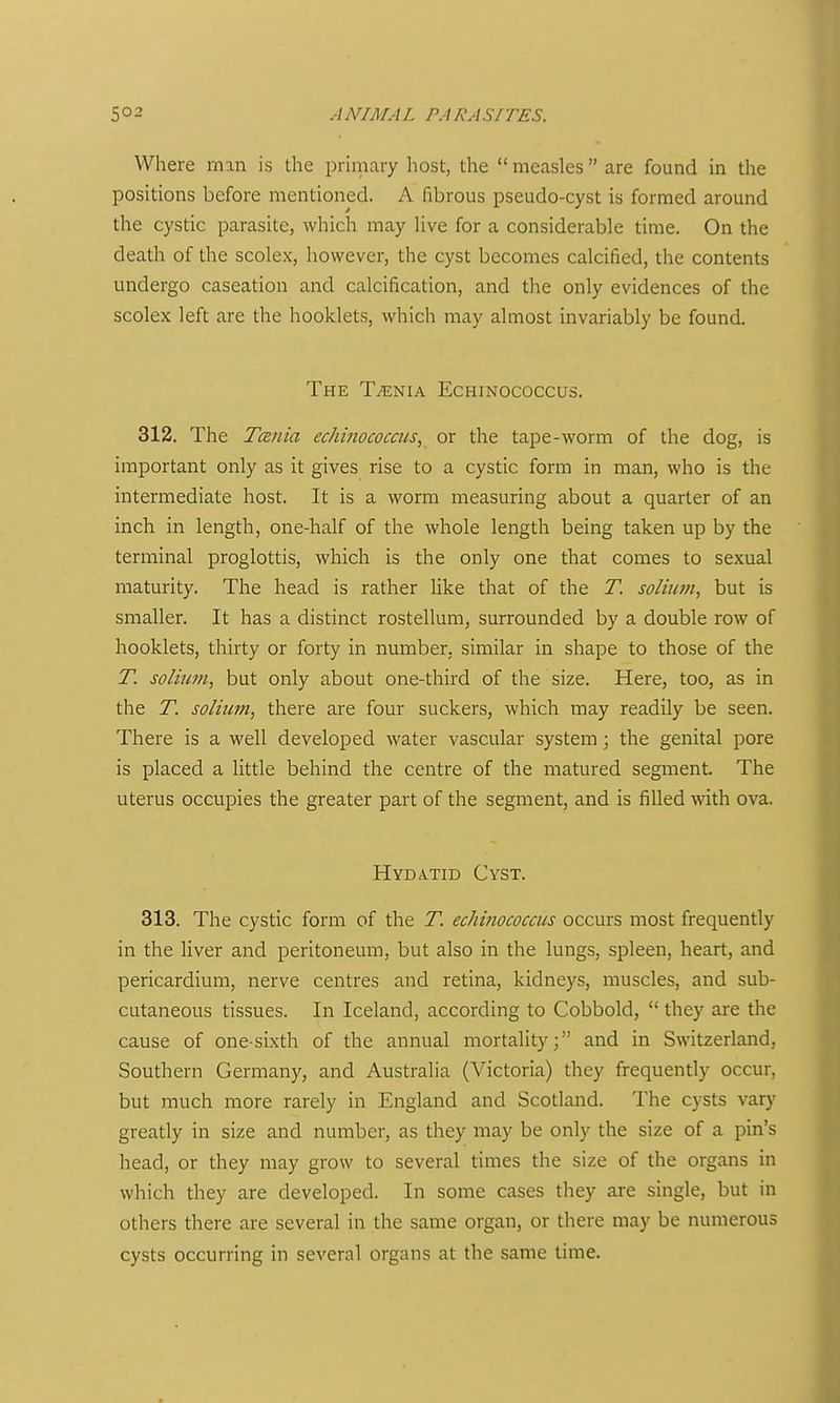 Where man is the prhiiary host, the  measles are found in the positions before mentioned. A fibrous pseudo-cyst is formed around the cystic parasite, which may Hve for a considerable time. On the death of the scolex, however, the cyst becomes calcified, the contents undergo caseation and calcification, and the only evidences of the scolex left are the booklets, which may almost invariably be found. The TiENiA Echinococcus. 312. The TcBuia ecMfiococcus, or the tape-worm of the dog, is important only as it gives rise to a cystic form in man, who is the intermediate host. It is a worm measuring about a quarter of an inch in length, one-half of the whole length being taken up by the terminal proglottis, which is the only one that comes to sexual maturity. The head is rather like that of the T. solium, but is smaller. It has a distinct rostellum, surrounded by a double row of booklets, thirty or forty in number, similar in shape to those of the T. solium, but only about one-third of the size. Here, too, as in the T. solium, there are four suckers, which may readily be seen. There is a well developed water vascular system; the genital pore is placed a little behind the centre of the matured segment. The uterus occupies the greater part of the segment, and is filled with ova. Hydatid Cyst. 313. The cystic form of the T. echinococcus occurs most frequently in the liver and peritoneum, but also in the lungs, spleen, heart, and pericardium, nerve centres and retina, kidneys, muscles, and sub- cutaneous tissues. In Iceland, according to Cobbold,  they are the cause of one-sixth of the annual mortality; and in Switzerland, Southern Germany, and Australia (Victoria) they frequently occur, but much more rarely in England and Scotland. The cysts vary greatly in size and number, as they may be only the size of a pin's head, or they may grow to several times the size of the organs in which they are developed. In some cases they are single, but in others there are several in the same organ, or there may be numerous cysts occurring in several organs at the same time.