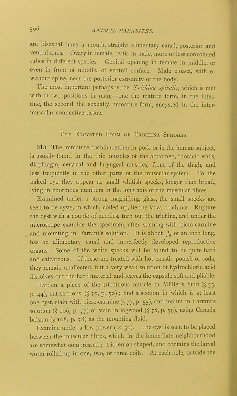 are bisexual, have a mouth, straight alimentary canal, posterior and ventral anus. Ovary in female, testis in male, more or less convoluted tubes in different species. Genital opening in female in middle, or even in front of middle, of ventral surface. Male cloaca, with or without spine, near the posterior extremity of the body. The most important perhaps is the Trichina spiralis, which is met with in two positions in man,—one the mature form, in the intes- tine, the second the sexually immature form, encysted in the inter- muscular connective tissue. The Encysted Form of Trichina Spiralis. 315. The immature trichina, either in pork or in the human subject, is usually found in the thin muscles of the abdomen, thoracic walls, diaphragm, cervical and laryngeal muscles, front of the thigh, and less frequently in the other parts of the muscular system. To the naked eye they appear as small whitish specks, longer than broad, lying in enormous numbers in the long axis of the muscular fibres. Examined under a strong magnifying glass, the small specks are seen to be cysts, in which, coiled up, lie the larval trichinse. Rupture the cyst with a couple of needles, turn out the trichina, and under the microscope examine the specimen, after staining with picro-carmine and mounting in Farrant's solution. It is about -^-^ of an inch long, has an alimentary canal and imperfectly developed reproductive organs. Some of the white specks will be found to be quite hard and calcareous. If these are treated with hot caustic potash or soda, they remain unaffected, but a very weak solution of hydrochloric acid dissolves out the hard material and leaves the capsule soft and pUable. Harden a piece of the trichinous muscle in Miiller's fluid (§ 55, p. 44), cut sections (§ 70, p. 50); find a section in which is at least one cyst, stain with picro-carmine (§77, p. 55), and mount in Farrant's solution (§ 106, p. 77) or stain in logwood (§ 78, p. 59), using Canada balsam (§ 108, p. 78) as the mounting fluid. Examine under a low power ( x 50). The cyst is seen to be placed between the muscular fibres, which in the immediate neighbourhood are somewhat compressed ; it is lemon-shaped, and contains the larval worm rolled up in one, two, or three coils. At each pole, outside the