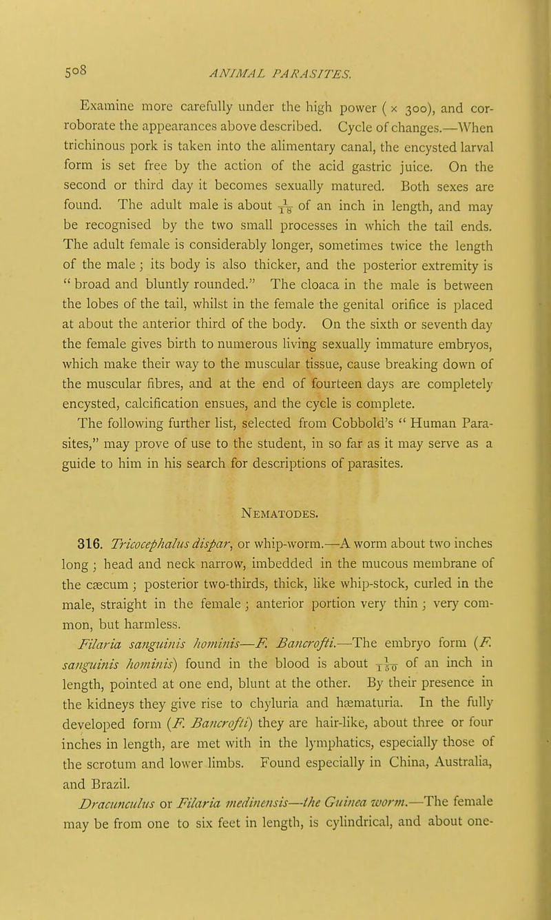 Examine more carefully under the high power ( x 300), and cor- roborate the appearances above described. Cycle of changes.—When trichinous pork is taken into the alimentary canal, the encysted larval form is set free by the action of the acid gastric juice. On the second or third day it becomes sexually matured. Both sexes are found. The adult male is about of an inch in length, and may be recognised by the two small processes in which the tail ends. The adult female is considerably longer, sometimes twice the length of the male ; its body is also thicker, and the posterior extremity is  broad and bluntly rounded. The cloaca in the male is between the lobes of the tail, whilst in the female the genital orifice is placed at about the anterior third of the body. On the sixth or seventh day the female gives birth to numerous living sexually immature embryos, which make their way to the muscular tissue, cause breaking down of the muscular fibres, and at the end of fourteen days are completely encysted, calcification ensues, and the cycle is complete. The following further list, selected from Cobbold's  Human Para- sites, may prove of use to the student, in so far as it may serve as a guide to him in his search for descriptions of parasites. Nematodes. 316. Ti'icocephalus dispar, or whip-worm.—A worm about two inches long ; head and neck narrow, imbedded in the mucous membrane of the cjecum; posterior two-thirds, thick, like whip-stock, curled in the male, straight in the female; anterior portion very thin; very com- mon, but harmless. Filaria sanguinis hominis—F. Bancrofti.—The embryo form {F. sanguinis hominis) found in the blood is about -—^ of an inch in length, pointed at one end, blunt at the other. By their presence in the kidneys they give rise to chyluria and hematuria. In the fully developed form (^F. Bancrofti) they are hair-like, about three or four inches in length, are met with in the lymphatics, especially those of the scrotum and lower limbs. Found especially in China, Australia, and Brazil. Dracuncidus or Filaria medinensis—ihe Guinea worm.—The female may be from one to six feet in length, is cylindrical, and about one-