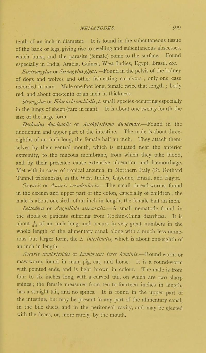 NEMA TODES. tenth of an inch in diameter. It is found in the subcutaneous tissue of the back or legs, giving rise to swelling and subcutaneous abscesses, which burst, and the parasite (female) come to the surface. Found especially in India, Arabia, Guinea, West Indies, Egypt, Brazil, &c. Enstrongyh/s or Sirongy/usgigas. —Found in the pelvis of the kidney of dogs and wolves and other fish-eating carnivora; only one case recorded in man. Male one foot long, female twice that length ; body red, and about one-tenth of an inch in thickness. Sirotigylns or Filaria bronchialis, a small species occurring especially in the lungs of sheep (rare in man). It is about one twenty-fourth the size of the large form. Dochinius duodenalis or Anchylostoma dnodenale.—Found in the duodenum and upper part of the intestine. The male is about three- eighths of an inch long, the female half an inch. They attach them- selves by their ventral mouth, which is situated near the anterior extremity, to the mucous membrane, from which they take blood, and by their presence cause extensive ulceration and haemorrhage. Met with in cases of tropical ansemia, in Northern Italy (St. Gothard Tunnel trichinosis), in the West Indies, Cayenne, Brazil, and Egypt. Oxyuris or Ascaris vcrmicularis.—The small thread-worms, found in the caecum and upper part of the colon, especially of children; the male is about one-sixth of an inch in length, the female half an inch. Leptodera or Anguillula siercoralis.—A small nematode found in the stools of patients suffering from Cochin-China diarrhoea. It is about of an inch long, and occurs in very great numbers in the whole length of the alimentary canal, along with a much less nume- rous but larger form, the L. infestinalis, which is about one-eighth of an inch in length. Ascaris himbricoides or Luvibriais teres hominis.—Round-worm or maw-worm, found in man, pig, cat, and horse. It is a round-worm with pointed ends, and is light brown in colour. The male is from four to six inches long, with a curved tail, on which are two sharp spines; the female measures from ten to fourteen inches in length, has a straight tail, and no spines. It is found in the upper part of the intestine, but may be present in any part of the alimentary canal, in the bile ducts, and in the peritoneal cavity, and may be ejected with the fasces, or, more rarely, by the mouth.