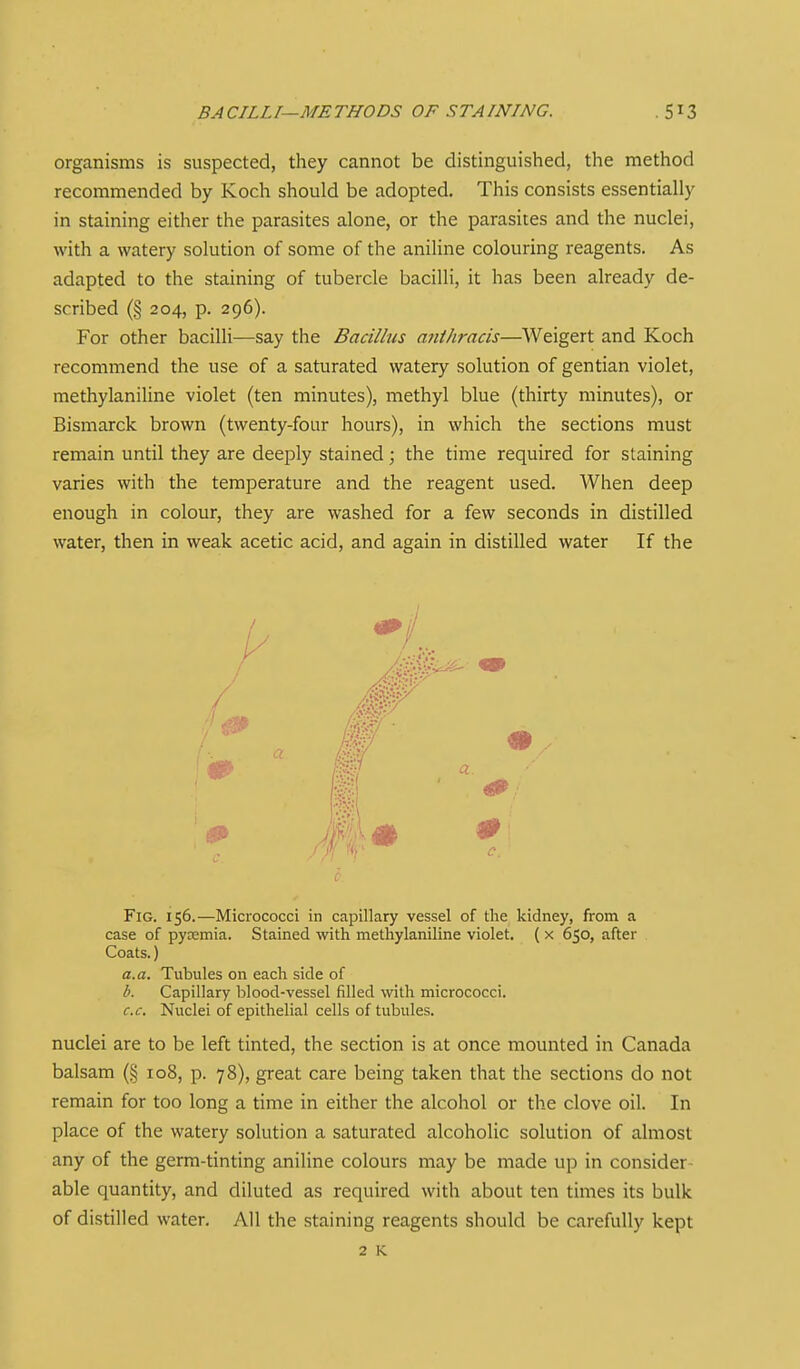 BACILLT—METHODS OF STAINING. organisms is suspected, they cannot be distinguished, the method recommended by Koch should be adopted. This consists essentially in staining either the parasites alone, or the parasites and the nuclei, with a watery solution of some of the aniHne colouring reagents. As adapted to the staining of tubercle bacilli, it has been already de- scribed (§ 204, p. 296). For other bacilli—say the Bacillus miihracis—Weigert and Koch recommend the use of a saturated watery solution of gentian violet, methylaniline violet (ten minutes), methyl blue (thirty minutes), or Bismarck brown (twenty-four hours), in which the sections must remain until they are deeply stained; the time required for staining varies with the temperature and the reagent used. When deep enough in colour, they are washed for a few seconds in distilled water, then in weak acetic acid, and again in distilled water If the Fig. 156.—Micrococci in capillary vessel of tlie kidney, from a case of pyjemia. Stained with methylaniline violet. ( x 650, after Coats.) a. a. Tubules on each side of b. Capillary blood-vessel filled with micrococci. c. c. Nuclei of epithelial cells of tubules. nuclei are to be left tinted, the section is at once mounted in Canada balsam (§ 108, p. 78), great care being taken that the sections do not remain for too long a time in either the alcohol or the clove oil. In place of the watery solution a saturated alcoholic solution of almost any of the germ-tinting aniline colours may be made up in consider- able quantity, and diluted as required with about ten times its bulk of distilled water. All the staining reagents should be carefully kept