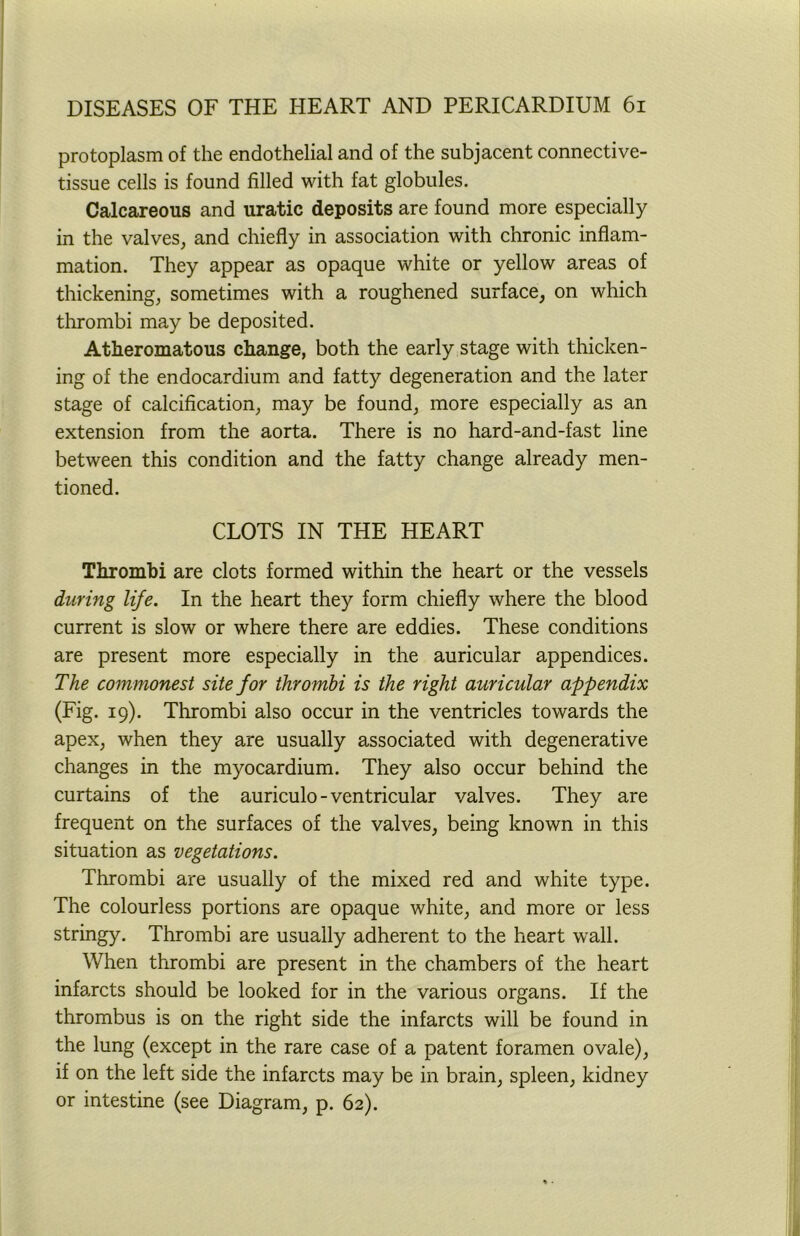 protoplasm of the endothelial and of the subjacent connective- tissue cells is found filled with fat globules. Calcareous and uratic deposits are found more especially in the valves, and chiefly in association with chronic inflam- mation. They appear as opaque white or yellow areas of thickening, sometimes with a roughened surface, on which thrombi may be deposited. Atheromatous change, both the early stage with thicken- ing of the endocardium and fatty degeneration and the later stage of calcification, may be found, more especially as an extension from the aorta. There is no hard-and-fast line between this condition and the fatty change already men- tioned. CLOTS IN THE HEART Thrombi are clots formed within the heart or the vessels during life. In the heart they form chiefly where the blood current is slow or where there are eddies. These conditions are present more especially in the auricular appendices. The commonest site for thrombi is the right auricular appendix (Fig. 19). Thrombi also occur in the ventricles towards the apex, when they are usually associated with degenerative changes in the myocardium. They also occur behind the curtains of the auriculo-ventricular valves. They are frequent on the surfaces of the valves, being known in this situation as vegetations. Thrombi are usually of the mixed red and white type. The colourless portions are opaque white, and more or less stringy. Thrombi are usually adherent to the heart wall. When thrombi are present in the chambers of the heart infa.rcts should be looked for in the various organs. If the thrombus is on the right side the infarcts will be found in the lung (except in the rare case of a patent foramen ovale), if on the left side the infarcts may be in brain, spleen, kidney or intestine (see Diagram, p. 62).