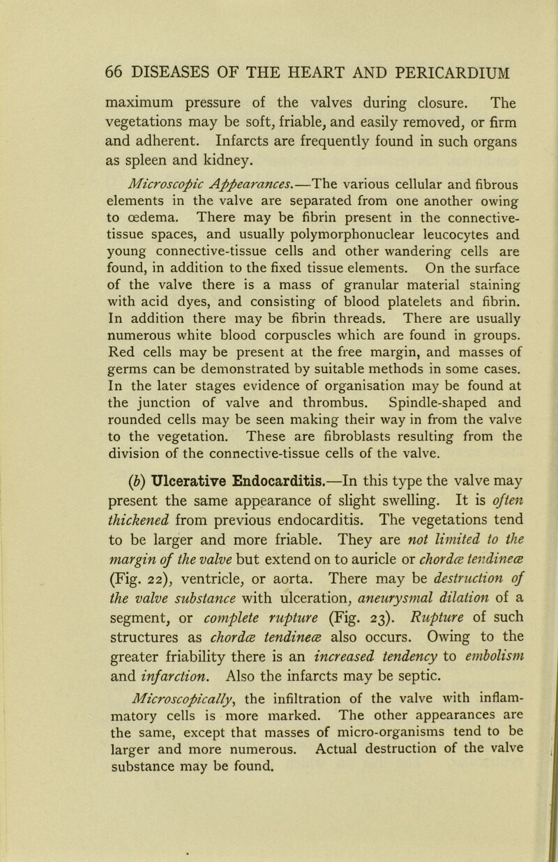 maximum pressure of the valves during closure. The vegetations may be soft, friable, and easily removed, or firm and adherent. Infarcts are frequently found in such organs as spleen and kidney. Microscopic Appearances.—The various cellular and fibrous elements in the valve are separated from one another owing to oedema. There may be fibrin present in the connective- tissue spaces, and usually polymorphonuclear leucocytes and young connective-tissue cells and other wandering cells are found, in addition to the fixed tissue elements. On the surface of the valve there is a mass of granular material staining with acid dyes, and consisting of blood platelets and fibrin. In addition there may be fibrin threads. There are usually numerous white blood corpuscles which are found in groups. Red cells may be present at the free margin, and masses of germs can be demonstrated by suitable methods in some cases. In the later stages evidence of organisation may be found at the junction of valve and thrombus. Spindle-shaped and rounded cells may be seen making their way in from the valve to the vegetation. These are fibroblasts resulting from the division of the connective-tissue cells of the valve. (ib) Ulcerative Endocarditis.—In this type the valve may present the same appearance of slight swelling. It is often thickened from previous endocarditis. The vegetations tend to be larger and more friable. They are not limited to the margin of the valve but extend on to auricle or chordce tendinece (Fig. 22), ventricle, or aorta. There may be destruction of the valve substance with ulceration, aneurysmal dilation of a segment, or complete rupture (Fig. 23). Rupture of such structures as chordce tendinece also occurs. Owing to the greater friability there is an increased tendency to embolism and infarction. Also the infarcts may be septic. Microscopically, the infiltration of the valve with inflam- matory cells is more marked. The other appearances are the same, except that masses of micro-organisms tend to be larger and more numerous. Actual destruction of the valve substance may be found.