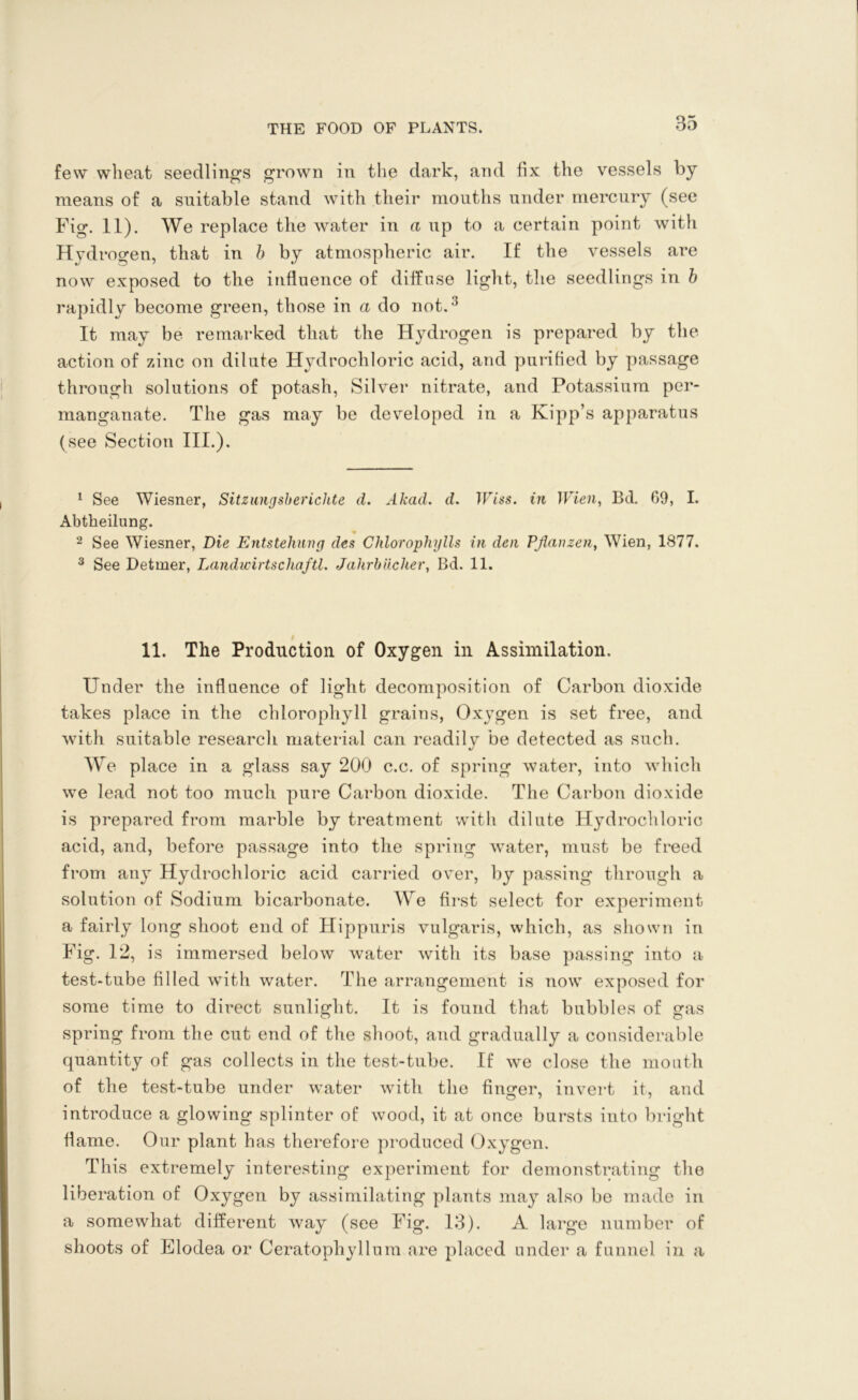 few wheat seedlings grown in the dark, and fix the vessels by means of a suitable stand with their months under mercury (see Fig. 11). We replace the water in a up to a certain point with Hydrogen, that in b by atmospheric air. If the vessels are now exposed to the influence of diffuse light, the seedlings in b rapidly become green, those in a do not.3 It may be remarked that the Hydrogen is prepared by the action of zinc on dilute Hydrochloric acid, and purified by passage through solutions of potash, Silver nitrate, and Potassium per- manganate. The gas may be developed in a Kipp’s apparatus (see Section III.). 1 See Wiesner, Sitzunysberichte d. Akad. d. Wiss. in Wien, Bd. 69, I. Abtheilung. 2 See Wiesner, Die Entstehuny des Chlorophylls in den Pfanzeny Wien, 1877. 3 See Detmer, Landwirtscha/tl. Jahrhiicher, Bd. 11. 11. The Production of Oxygen in Assimilation. Under the influence of light decomposition of Carbon dioxide takes place in the chlorophyll grains, Oxygen is set free, and with suitable research material can readily be detected as such. We place in a glass say 200 c.c. of spring water, into which we lead not too much pure Carbon dioxide. The Carbon dioxide is prepared from marble by treatment witli dilute Hydrochloric acid, and, before passage into the spring water, must be freed from any Hydrochloric acid carried over, by passing through a solution of Sodium bicarbonate. We first select for experiment a fairly long shoot end of Hippuris vulgaris, which, as shown in Fig. 12, is immersed below water with its base passing into a test-tube filled with water. The arrangement is now exposed for some time to direct sunlight. It is found that bubbles of gas spring from the cut end of the shoot, and gradually a considerable quantity of gas collects in the test-tube. If we close the month of the test-tube under water with the fino-er, invert it, and introduce a glowing splinter of wood, it at once bursts into bri ght flame. Our plant has therefore produced Oxygen. This extremely interesting experiment for demonstrating the liberation of Oxygen by assimilating plants may also be made in a somewhat different way (see Fig. 13). A large number of shoots of Elodea or Ceratophyllum are placed under a funnel in a