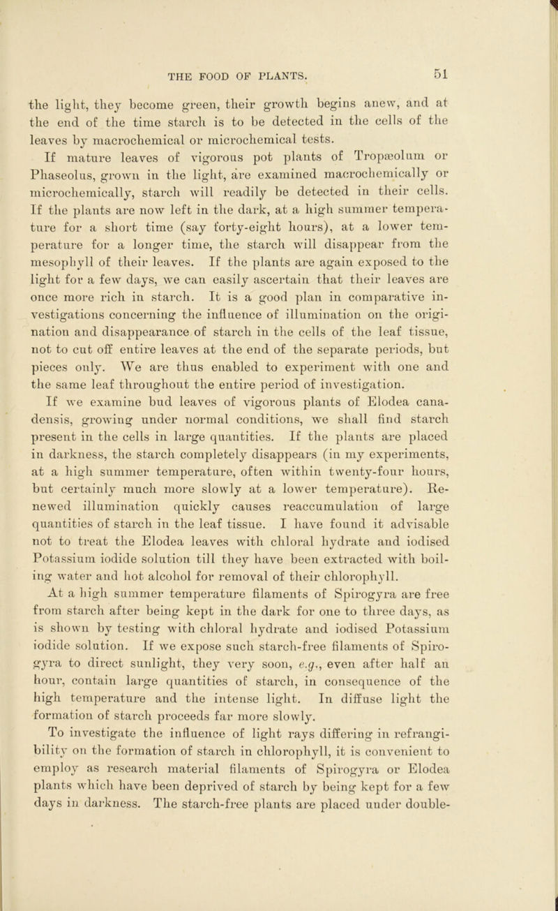 the liglit, they become green, their growth begins anew, and at the end of the time starch is to be detected in the cells of the leaves by macrochemical or microchemical tests. If mature leaves of vigorous pot plants of Tropoeolum or Pliaseolus, grown in the light, are examined macrochemically or microchemically, starch will readily be detected in their cells. If the plants are now left in the dark, at a, high summer tempera- ture for a short time (say forty-eight hours), at a lower tem- perature for a longer time, the starch will disappear from the mesophyll of their leaves. If the plants are again exposed to the light for a few days, we can easily ascertain that their leaves are once more rich in starch. It is a good plan in comparative in- vestigations concerning the influence of illumination on the origi- nation and disappearance of starch in the cells of the leaf tissue, not to cut off entire leaves at the end of the separate periods, but pieces only. We are thus enabled to experiment with one and the same leaf throughout the entire period of investigation. If we examine bud leaves of vigorous plants of Elodea cana- densis, growing under normal conditions, we shall find starch present in the cells in large quantities. If the plants are placed in darkness, the starch completely disappears (in my experiments, at a high summer temperature, often within twenty-four hours, but certainly much more slowly at a lower temperature). Re- newed illumination quickly causes reaccumulation of large quantities of starch in the leaf tissue. I have found it advisable not to treat the Elodea leaves with chloral hydrate and iodised Potassium iodide solution till they have been extracted with boil- ing water and hot alcohol for removal of their chlorophyll. At a h igh summer temperature filaments of Spirogyra are free from starch after being kept in the dark for one to three days, as is shown by testing with chloral hydrate and iodised Potassium iodide solution. If we expose such starch-free filaments of Spiro- gyra to direct sunlight, they very soon, e.p., even after half an hour, contain large quantities of starch, in consequence of the high temperature and the intense light. In diffuse light the formation of starch proceeds far more slowly. To investigate the influence of light rays differing in refrangi- bility on the formation of starch in chlorophyll, it is convenient to employ as research material filaments of Spirogyra or Elodea plants which have been deprived of starch by being kept for a few days in darkness. The starch-free plants are placed under double-