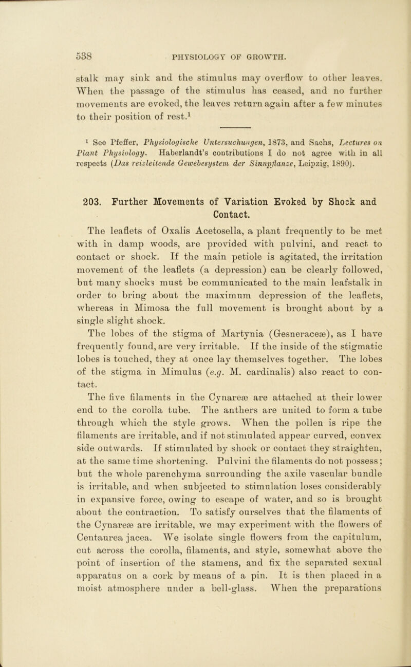 stalk may sink and the stimulus may overflow to other leaves. When the passage of the stimulus has ceased, and no further movements are evoked, the leaves return again after a few minutes to their position of rest.1 1 See Pfeffer, Physiologische Untersuchungen, 1873, and Sachs, Lectures on Plant Physiology. Haberlandt’s contributions I do not agree with in all respects (Das reizleitcnde Gewebesystevi der Sinnpjlanze, Leipzig, 1890). 203. Further Movements of Variation Evoked by Shock and Contact. The leaflets of Oxalis Acetosella, a plant frequently to be met with in damp woods, are provided with pulvini, and react to contact or shock. If the main petiole is agitated, the irritation movement of the leaflets (a depression) can be clearly followed, but many shocks must be communicated to the main leafstalk in order to bring about the maximum depression of the leaflets, whereas in Mimosa the full movement is brought about by a single slight shock. The lobes of the stigma of Martynia (Gesneracese), as I have frequently found, are very irritable. If the inside of the stigmatic lobes is touched, they at once lay themselves together. The lobes of the stigma in Mimulus (e.g. M. cardinalis) also react to con- tact. The five filaments in the Cvnareae are attached at their lower end to the corolla tube. The anthers are united to form a tube through which the style grows. When the pollen is ripe the filaments are irritable, and if not stimulated appear curved, convex side outwards. If stimulated by shock or contact they straighten, at the same time shortening. Pulvini the filaments do not possess ; but the whole parenchyma surrounding the axile vascular bundle is irritable, and when subjected to stimulation loses considerably in expansive force, owing to escape of water, and so is brought about the contraction. To satisfy ourselves that the filaments of the Cynareaa are irritable, we may experiment with the flowers of Centaurea jacea. We isolate single flowers from the capitalum, cut across the corolla, filaments, and style, somewhat above the point of insertion of the stamens, and fix the separated sexual apparatus on a cork by means of a pin. It is then placed in a moist atmosphere under a bell-glass. When the preparations