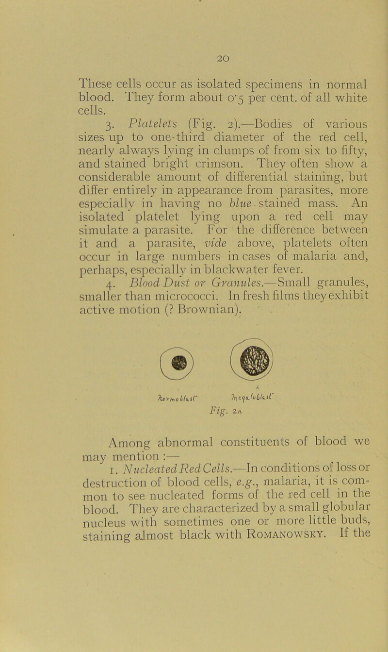 These cells occur as isolated specimens in normal blood. They form about o'5 per cent, of all white cells. 3. Platelets (Fig. 2).—Bodies of various sizes up to one-third diameter of the red cell, nearly always lying in clumps of from six to fifty, and stained bright crimson. They often show a considerable amount of differential staining, but differ entirely in appearance from parasites, more especially in having no blue- stained mass. An isolated platelet lying upon a red cell may simulate a parasite. For the difference between it and a parasite, vide above, platelets often occur in large numbers in cases of malaria and, perhaps, especially in blackwater fever. 4. Blood Dust or Granules.—Small granules, smaller than micrococci. In fresh films they exhibit active motion (? Brownian). Among abnormal constituents of blood we may mention :— 1. Nucleated Red Cells.—In conditions of lossor destruction of blood cells, e.g., malaria, it is com- mon to see nucleated forms of the red cell in the blood. They are characterized by a small globular nucleus with sometimes one or more little buds, staining almost black with Romanowsky. If the