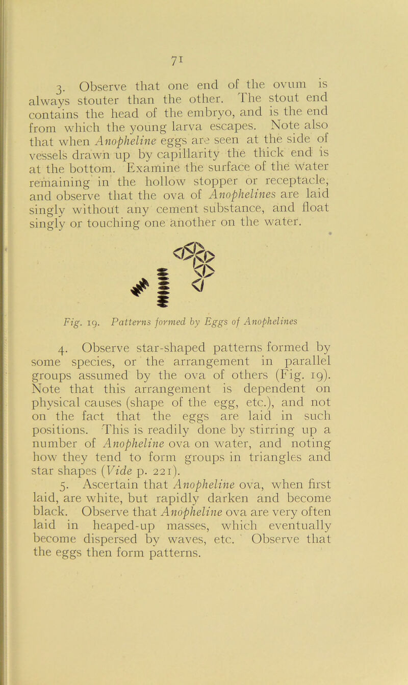 3. Observe that one end of the ovum is always stouter than the other. The stout end contains the head of the embryo, and is the end from which the young larva escapes. Note also that when Anopheline eggs are seen at the side ol vessels drawn up by capillarity the thick end is at the bottom. Examine the surface of the Water remaining in the hollow stopper or receptacle, and observe that the ova of Anophelines are laid singly without any cement substance, and float singly or touching one another on the water. Fig. 19. Patterns formed by Eggs of Anophelines 4. Observe star-shaped patterns formed by some species, or the arrangement in parallel groups assumed by the ova of others (Fig. 19). Note that this arrangement is dependent on physical causes (shape of the egg, etc.), and not on the fact that the eggs are laid in such positions. This is readily done by stirring up a number of Anopheline ova on water, and noting how they tend to form groups in triangles and star shapes (Vide p. 221). 5. Ascertain that Anopheline ova, when first laid, are white, but rapidly darken and become black. Observe that Anopheline ova are very often laid in heaped-up masses, which eventually become dispersed by waves, etc. Observe that the eggs then form patterns.