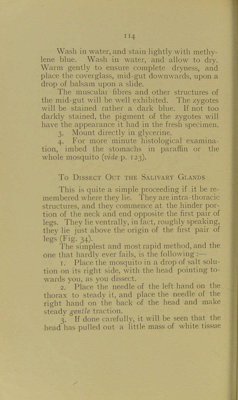 Wash in water, and stain lightly with methy- lene blue. Wash in water, and allow to dry. Warm gently to ensure complete dryness, and place the cover glass, mid-gut downwards, upon a drop of balsam upon a slide. The muscular fibres and other structures of the mid-gut will be well exhibited. The zygotes will be stained rather a dark blue. If not too darkly stained, the pigment of the zygotes will have the appearance it had in the fresh specimen. 3. Mount directly in glycerine. 4. For more minute histological examina- tion, imbed the stomachs in paraffin or the whole mosquito (vide p. 123). To Dissect Out the Salivary Glands This is quite a simple proceeding if it be re- membered where they lie. They are intra-thoracic structures, and they commence at the hinder por- tion of the neck and end opposite the first pair of legs. They lie ventrally, in fact, roughly speaking, they lie just above the origin of the first pair of legs (Fig. 34). The simplest and most rapid method, and the one that hardly ever fails, is the following 1. Place tlie mosquito in a drop of salt solu- tion on its right side, with the head pointing to- wards you, as you dissect. 2. Place the needle of the left hand on the thorax to steady it, and place the needle of the right hand on the back of the head and make steady gentle traction. 3. If done carefully, it will be seen that the head has pulled out a little mass of white tissue