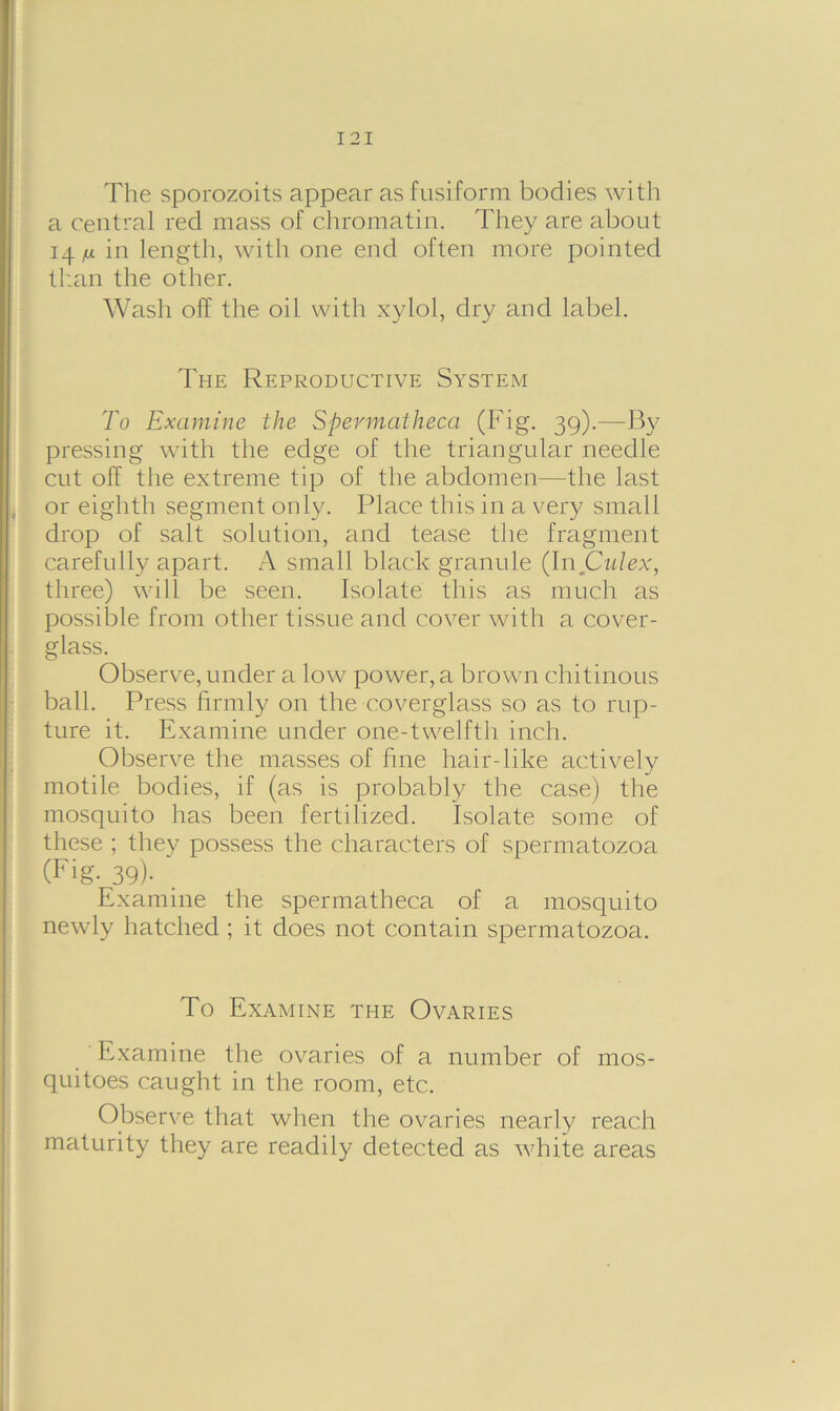 The sporozoits appear as fusiform bodies with a central red mass of chromatin. They are about 14^ in length, with one end often more pointed than the other. Wash off the oil with xylol, dry and label. The Reproductive System To Examine the Spevmatheca (Fig. 39).—By pressing with the edge of the triangular needle cut off the extreme tip of the abdomen—the last or eighth segment only. Place this in a very small drop of salt solution, and tease the fragment carefully apart. A small black granule (In Culex, three) will be seen. Isolate this as much as possible from other tissue and cover with a cover- glass. Observe, under a low power, a brown chitinous ball. Press firmly on the coverglass so as to rup- ture it. Examine under one-twelfth inch. Observe the masses of fine hair-like actively motile bodies, if (as is probably the case) the mosquito has been fertilized. Isolate some of these ; they possess the characters of spermatozoa (Fig- 39)- Examine the spermatheca of a mosquito newly hatched ; it does not contain spermatozoa. To Examine the Ovaries Examine the ovaries of a number of mos- quitoes caught in the room, etc. Observe that when the ovaries nearly reach maturity they are readily detected as white areas