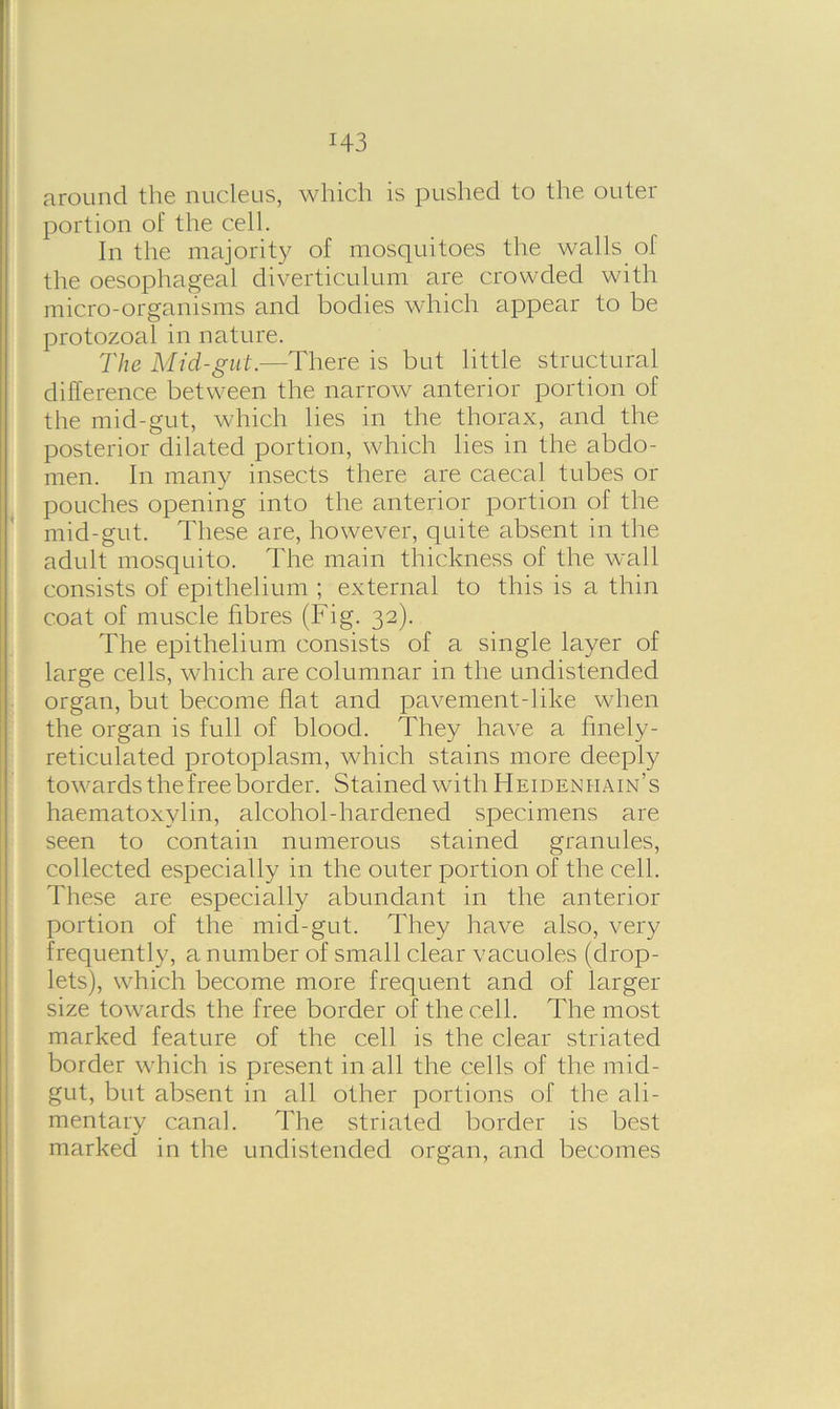 around the nucleus, which is pushed to the outer portion of the cell. In the majority of mosquitoes the walls of the oesophageal diverticulum are crowded with micro-organisms and bodies which appear to be protozoal in nature. The Mid-gut.—There is but little structural difference between the narrow anterior portion of the mid-gut, which lies in the thorax, and the posterior dilated portion, which lies in the abdo- men. In many insects there are caeca! tubes or pouches opening into the anterior portion of the mid-gut. These are, however, quite absent in the adult mosquito. The main thickness of the wall consists of epithelium ; external to this is a thin coat of muscle fibres (Fig. 32). The epithelium consists of a single layer of large cells, which are columnar in the undistended organ, but become flat and pavement-like when the organ is full of blood. They have a finely- reticulated protoplasm, which stains more deeply towards the free border. Stained with Heidenhain’s haematoxylin, alcohol-hardened specimens are seen to contain numerous stained granules, collected especially in the outer portion of the cell. These are especially abundant in the anterior portion of the mid-gut. They have also, very frequently, a number of small clear vacuoles (drop- lets), which become more frequent and of larger size towards the free border of the cell. The most marked feature of the cell is the clear striated border which is present in all the cells of the mid- gut, but absent in all other portions of the ali- mentary canal. The striated border is best marked in the undistended organ, and becomes