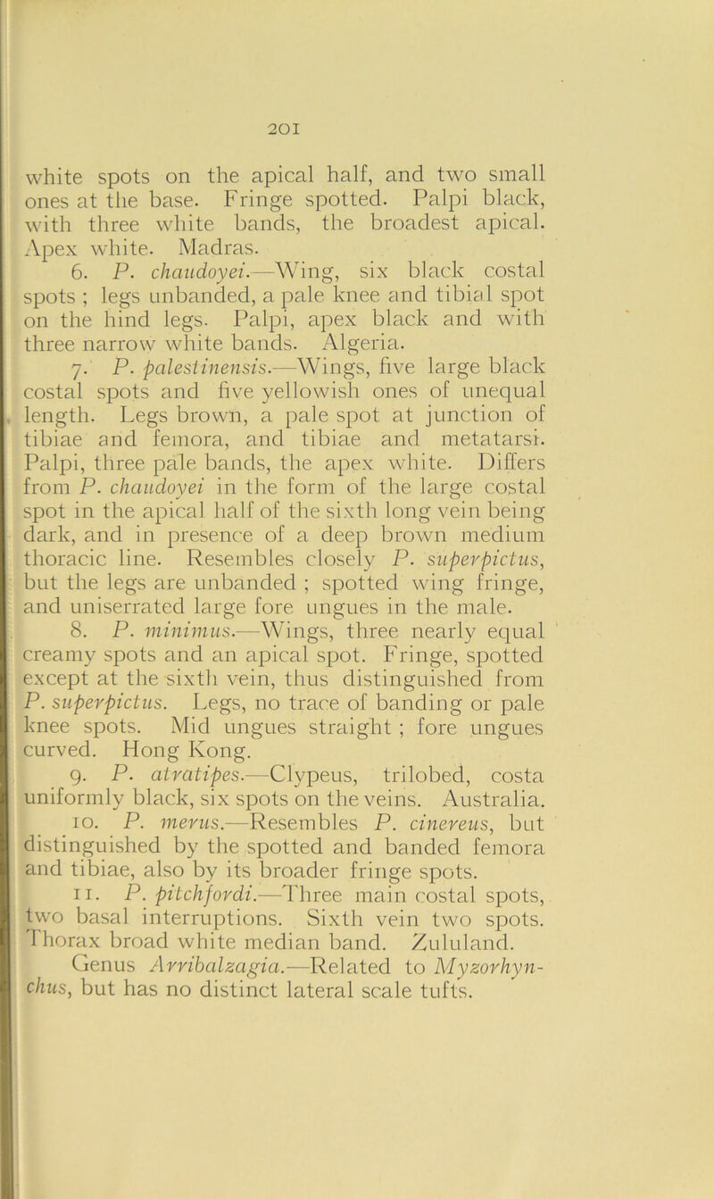 white spots on the apical half, and two small ones at the base. Fringe spotted. Palpi black, with three white bands, the broadest apical. Apex white. Madras. 6. P. chaudoyei.—Wing, six black costal spots ; legs unbanded, a pale knee and tibia 1 spot on the hind legs. Palpi, apex black and with three narrow white bands. Algeria. 7. P. palest inensis.—Wings, five large black costal spots and five yellowish ones of unequal length. Legs brown, a pale spot at junction of tibiae and femora, and tibiae and metatarsi. Palpi, three pale bands, the apex white. Differs from P. chaudoyei in the form of the large costal spot in the apical half of the sixth long vein being dark, and in presence of a deep brown medium thoracic line. Resembles closely P. s'uperpictus, but the legs are unbanded ; spotted wing fringe, and uniserrated large fore ungues in the male. 8. P. minimus.—Wings, three nearly equal creamy spots and an apical spot. Fringe, spotted except at the sixth vein, thus distinguished from P. superpictus. Legs, no trace of banding or pale knee spots. Mid ungues straight ; fore ungues curved. Hong Kong. 9. P. atratipes.—Clypeus, trilobed, costa uniformly black, six spots on the veins. Australia. 10. P. merus.—Resembles P. cinereus, but distinguished by the spotted and banded femora and tibiae, also by its broader fringe spots. 11. P. pilchfovdi.—Three main costal spots, two basal interruptions. Sixth vein two spots. Thorax broad white median band. Zululand. Genus Arribalzcigia.—Related to Myzorhyn- chus, but has no distinct lateral scale tufts.