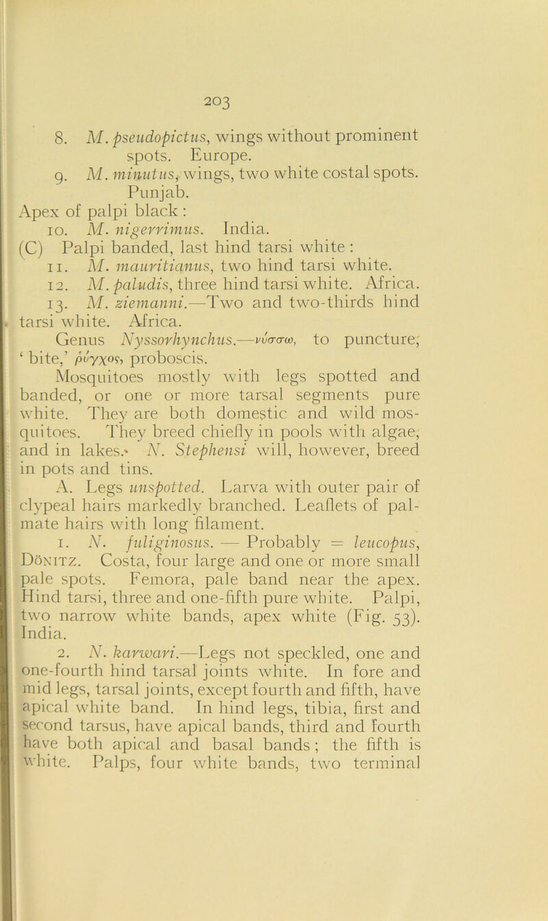 8. M. pseudopictus, wings without prominent spots. Europe. 9. M. minutuSf wings, two white costal spots. Punjab. Apex of palpi black : 10. M. nigerrimus. India. (C) Palpi banded, last hind tarsi white : 11. M. mauritianus, two hind tarsi white. 12. M.paltLdis, three hind tarsi white. Africa. 13. M. ziemanni.—Two and two-thirds hind tarsi white. Africa. Genus Nyssovhynchus.—vu<to-w, to puncture; ‘ bite,’ /oi/yx°9, proboscis. Mosquitoes mostly with legs spotted and banded, or one or more tarsal segments pure white. They are both domestic and wild mos- quitoes. They breed chiefly in pools with algae, and in lakes.* N. Stephensi will, however, breed in pots and tins. A. Legs unspotted. Larva with outer pair of clypeal hairs markedly branched. Leaflets of pal- mate hairs with long filament. 1. N. fidiginosus. — Probably = leucopus, Donitz. Costa, four large and one or more small pale spots. Lemora, pale band near the apex. Hind tarsi, three and one-fifth pure white. Palpi, two narrow white bands, apex white (Lig. 53). India. 2. N. karwavi.—Legs not speckled, one and one-fourth hind tarsal joints white. In fore and mid legs, tarsal joints, except fourth and fifth, have apical white band. In hind legs, tibia, first and second tarsus, have apical bands, third and fourth have both apical and basal bands ; the fifth is white. Palps, four white bands, two terminal