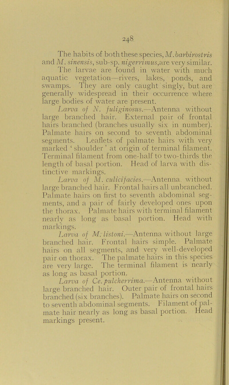 The habits of both these species, M.bcirbivostris and M. sinensis, sub-sp. nigerrimus,&i'e very similar. The larvae are found in water with much aquatic vegetation—rivers, lakes, ponds, and swamps. They are only caught singly, but are generally widespread in their occurrence where large bodies of water are present. Larva of N. fuliginosus.—Antenna without large branched hair. External pair of frontal hairs branched (branches usually six in number). Palmate hairs on second to seventh abdominal segments. Leaflets of palmate hairs with very marked ‘ shoulder ’ at origin of terminal filament. Terminal filament from one-half to two-thirds the length of basal portion. Head of larva with dis- tinctive markings. Larva of M. culicifacies. -Antenna without large branched hair. Frontal hairs all unbranched. Palmate hairs on first to seventh abdominal seg- ments, and a pair of fairly developed ones upon the thorax. Palmate hairs with terminal filament nearly as long as basal portion. Head with markings. Larva of M. listoni.—Antenna without large branched hair. Frontal hairs simple. Palmate hairs on all segments, and very well-developed pair on thorax. The palmate hairs in this species are very large. The terminal filament is nearly as long as basal portion. Larva of Ce.pulcherrima.—Antenna without large branched hair. Outer pair of frontal hairs branched (six branches). Palmate hairs on second to seventh abdominal segments. Filament of pal- mate hair nearly as long as basal portion. Head markings present.