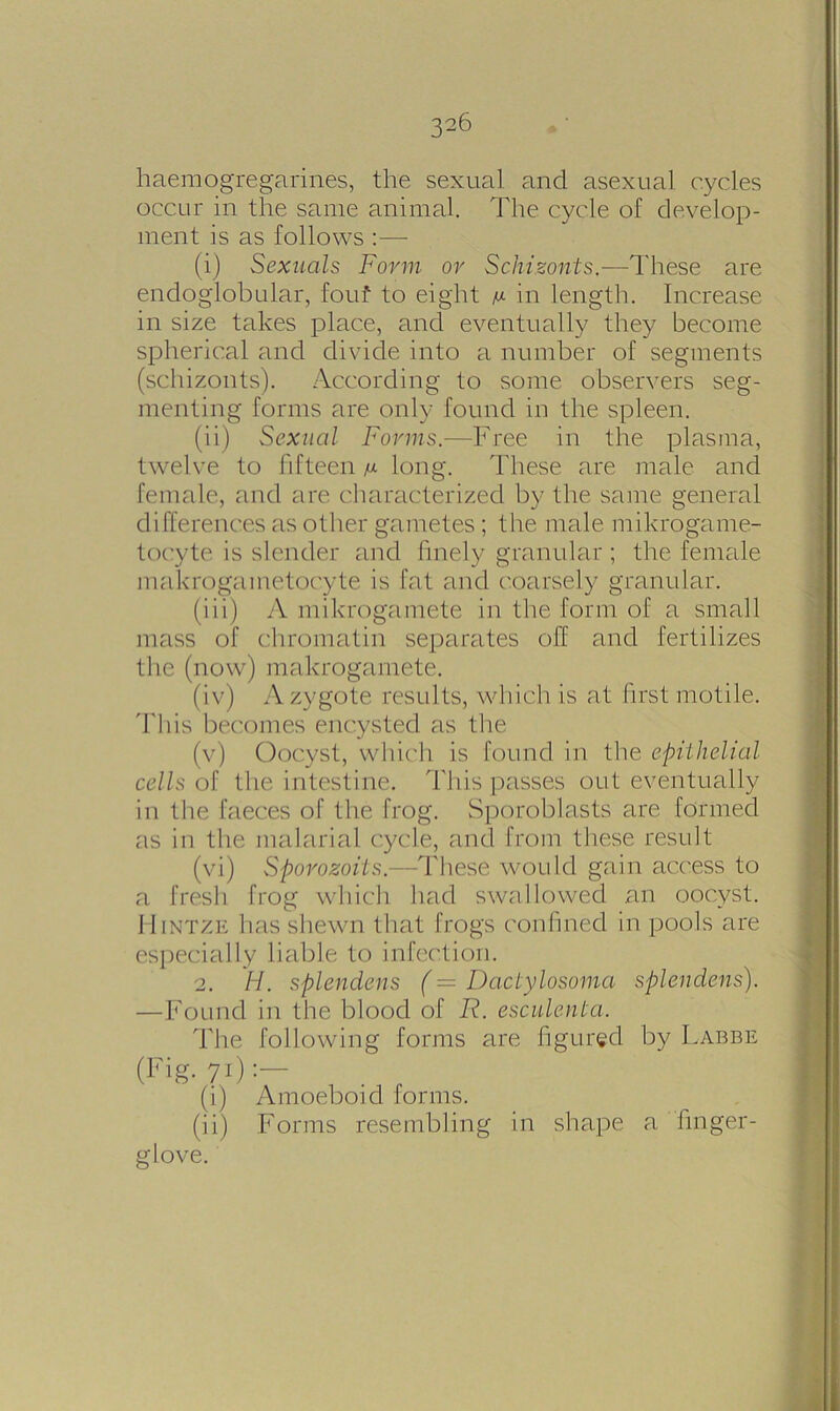 haemogregarines, the sexual and asexual cycles occur in the same animal. The cycle of develop- ment is as follows :— (i) Sexuals Form or Schizonts.—These are endoglobular, fouf to eight y. in length. Increase in size takes place, and eventually they become spherical and divide into a number of segments (schizonts). According to some observers seg- menting forms are only found in the spleen. (ii) Sexual Forms.—Free in the plasma, twelve to fifteen m long. These are male and female, and are characterized by the same general differences as other gametes ; the male mikrogame- tocyte is slender and finely granular ; the female makrogametoc.yte is fat and coarsely granular. (iii) A mikrogamete in the form of a small mass of chromatin separates off and fertilizes the (now) makrogamete. (iv) A zygote results, which is at first motile. This becomes encysted as the (v) Oocyst, which is found in the epithelial cells of the intestine. This passes out eventually in the faeces of the frog. Sporoblasts are formed as in the malarial cycle, and from these result (vi) Sporozoits.—These would gain access to a fresh frog which had swallowed an oocyst. Hintze lias shewn that frogs confined in pools are especially liable to infection. 2. H. splendens (— Dactylosoma splendens). —Found in the blood of R. esculenta. The following forms are figured by Labbe (Fig. 71);— (i) Amoeboid forms. (ii) Forms resembling in shape a finger- glove.