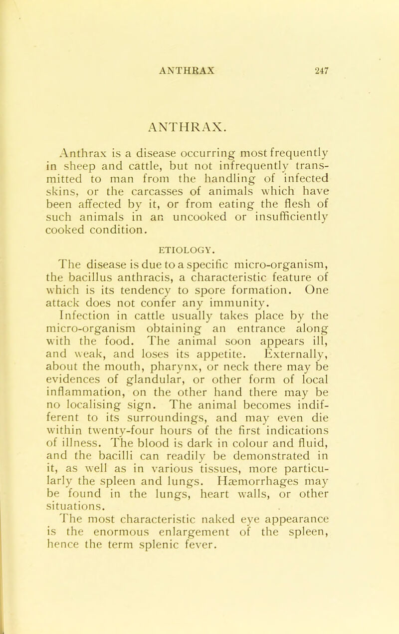 ANTHRAX. Anthrax is a disease occurring most frequently in sheep and cattle, but not infrequently trans- mitted to man from the handling of infected skins, or the carcasses of animals which have been affected by it, or from eating the flesh of such animals in an uncooked or insufficiently cooked condition. ETIOLOGY. The disease is due to a specific micro-organism, the bacillus anthracis, a characteristic feature of which is its tendency to spore formation. One attack does not confer any immunity. Infection in cattle usually takes place by the micro-organism obtaining an entrance along with the food. The animal soon appears ill, and weak, and loses its appetite. Externally, about the mouth, pharynx, or neck there may be evidences of glandular, or other form of local inflammation, on the other hand there may be no localising sign. The animal becomes indif- ferent to its surroundings, and may even die within twenty-four hours of the first indications of illness. The blood is dark in colour and fluid, and the bacilli can readily be demonstrated in it, as well as in various tissues, more particu- larly the spleen and lungs. Haemorrhages may be found in the lungs, heart walls, or other situations. The most characteristic naked eye appearance is the enormous enlargement of the spleen, hence the term splenic fever.