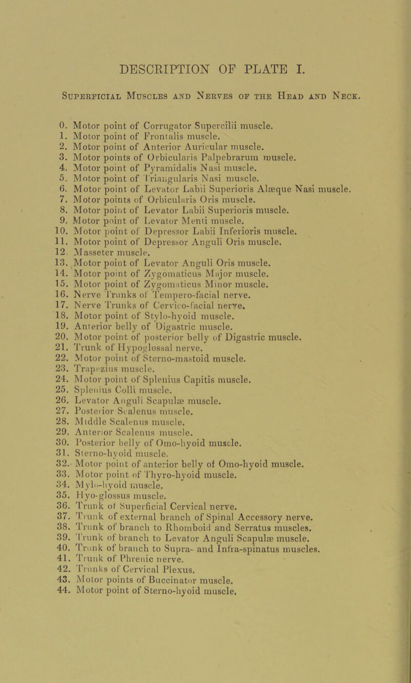 Superficial Muscles and Nerves of the Head and Neck. 0. Motor point of Corrugator Supercilii muscle. 1. Motor point of Frontalis muscle. 2. Motor point of Anterior Auricular muscle. 3. Motor points of Orbicularis Palpebrarum muscle. 4. Motor point of Pyramidalis Nasi muscle. 5. Motor point of Triangularis Nasi muscle. 6. Motor point of Levator Labii Superioris Alseque Nasi muscle. 7. Motor points of Orbicularis Oris muscle. 8. Motor point of Levator Labii Superioris muscle. 9. Motor point of Levator Menti muscle. 10. Motor point of Depressor Labii Inferioris muscle. 11. Motor point of Depressor Anguli Oris muscle. 12. Masseter muscle. 13. Motor point of Levator Anguli Oris muscle. 14. Motor point of Zygomaticus Major muscle. 15. Motor point of Zygomaticus Minor muscle. 16. Nerve Trunks of Tempero-facial nerve. 17. Nerve Trunks of Cervico-facial nerye. 18. Motor point of Stylo-hyoid muscle. 19. Anterior belly of Digastric muscle. 20. Motor point of posterior belly of Digastric muscle. 21. Trunk of Hypoglossal nerve. 22. Motor point of Sterno-mastoid muscle. 23. Trapezius muscle. 24. Motor point of Splenius Capitis muscle. 25. Splenius Colli muscle. 26. Levator Anguli Scapulae muscle. 27. Posterior Scalenus muscle. 28. Middle Scalenus muscle. 29. Anterior Scalenus muscle. 30. Posterior belly of Omo-hyoid muscle. 31. Sterno-hyoid muscle. 32. Motor point of anterior belly of Omo-liyoid muscle. 33. Motor point of Thyro-hyoid muscle. 34. Mylo-byoid muscle. 35. Hyo-glossus muscle. 36. Trunk ot Superficial Cervical nerve. 37. Trunk of external branch of Spinal Accessory nerve. 38. Trunk of branch to Rhomboid and Serratus muscles. 39. Trunk of branch to Levator Anguli Scapulae muscle. 40. 'Trunk of branch to Supra- and Infra-spinatus muscles. 41. Trunk of Phrenic nerve. 42. Trunks of Cervical Plexus. 43. Motor points of Buccinator muscle. 44. Motor point of Sterno-hyoid muscle.