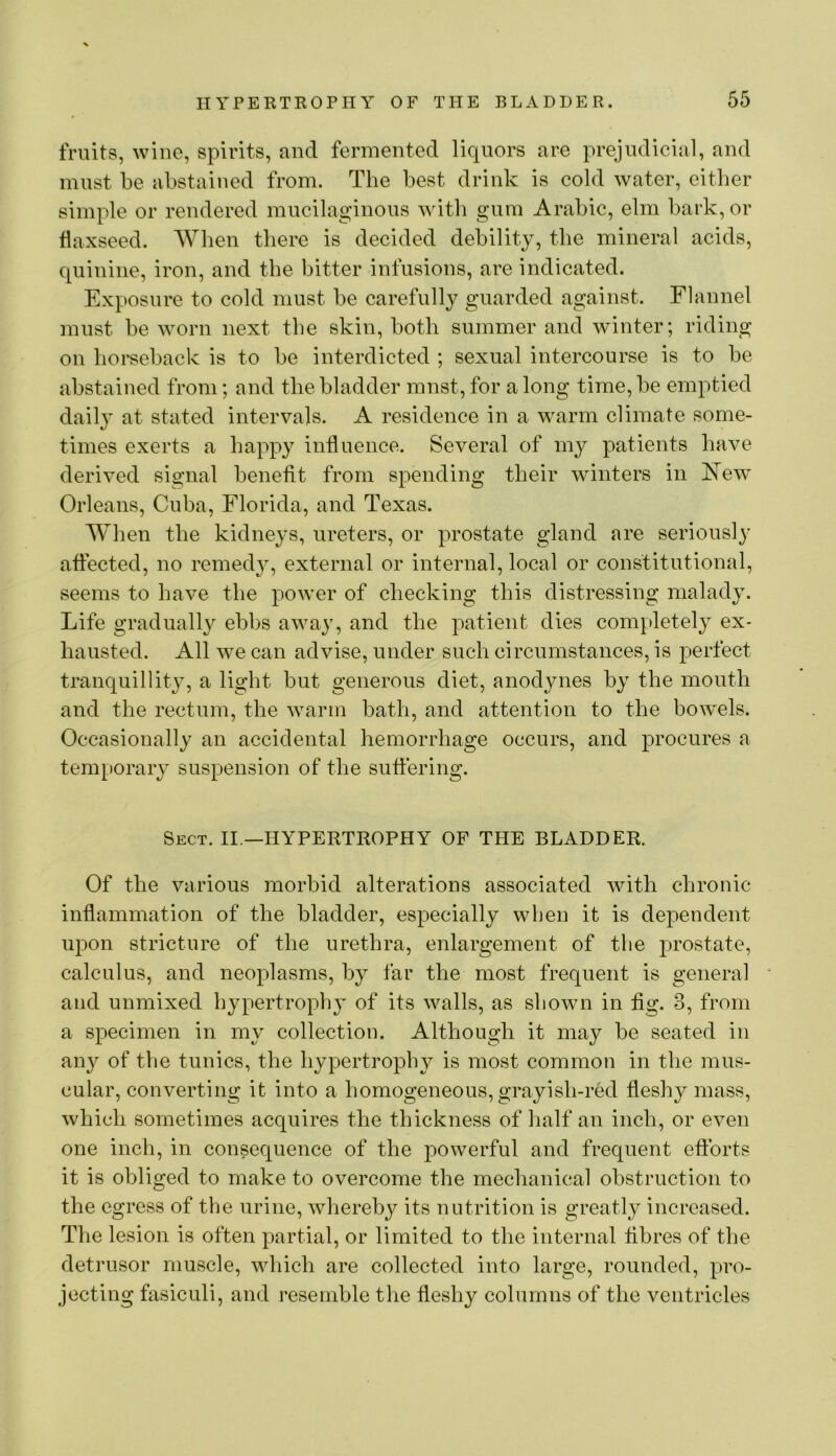 fruits, wine, spirits, and fermented liquors are prejudicial, and must be abstained from. The best drink is cold water, either simple or rendered mucilaginous with gum Arabic, elm bark, or flaxseed. When there is decided debility, the mineral acids, quinine, iron, and the bitter infusions, are indicated. Exposure to cold must be carefully guarded against. Flannel must be worn next the skin, both summer and winter; riding on horseback is to be interdicted ; sexual intercourse is to be abstained from; and the bladder must, for a long time, be emptied daily at stated intervals. A residence in a warm climate some- times exerts a happy influence. Several of my patients have derived signal benefit from spending their winters in New Orleans, Cuba, Florida, and Texas. When the kidneys, ureters, or prostate gland are seriously affected, no remedy, external or internal, local or constitutional, seems to have the power of checking this distressing malady. Life gradually ebbs away, and the patient dies completely ex- hausted. All we can advise, under such circumstances, is perfect tranquillity, a light but generous diet, anodynes by the mouth and the rectum, the warm bath, and attention to the bowels. Occasionally an accidental hemorrhage occurs, and procures a temporary suspension of the sufiering. Sect. II—HYPERTROPHY OF THE BLADDER. Of the various morbid alterations associated with chronic inflammation of the bladder, especially when it is dependent upon stricture of the urethra, enlargement of the prostate, calculus, and neoplasms, by far the most frequent is general and unmixed hypertrophy of its walls, as shown in fig. 3, from a specimen in my collection. Although it may be seated in any of the tunics, the hypertrophy is most common in the mus- cular, converting it into a homogeneous, grayish-red fleshy mass, which sometimes acquires the thickness of half an inch, or even one inch, in consequence of the powerful and frequent eftbrts it is obliged to make to overcome the mechanical obstruction to the egress of the urine, wherebj^ its nutrition is greatly increased. The lesion is often partial, or limited to the internal fibres of the detrusor muscle, which are collected into large, rounded, pro- jecting fasiculi, and resemble the fleshy columns of the ventricles