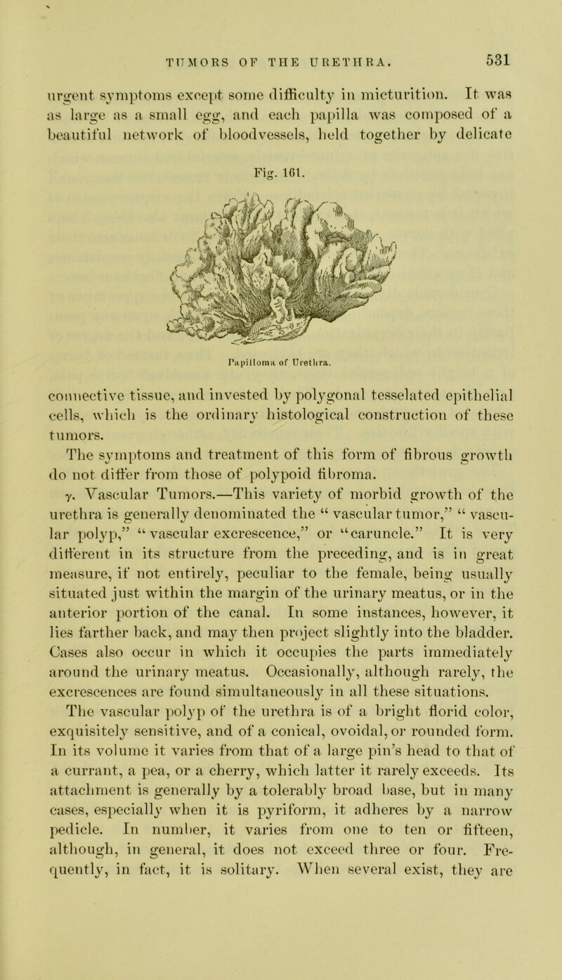 uri»;ent symptoms excejit some difficulty in micturition. It was as large as a small egg, and each papilla was composed of a beautiful network of bloodvessels, held together by delicate Fi£?. 161. o Papilloma of Urethra. connective tissue, and invested by polygonal tesselated epithelial cells, which is the ordinary histological construction of these tumors. The symptoms and treatment of this form of fibrous growth do not difter from those of polypoid fibroma. y. Vascular Tumors.—This variety of morbid growth of the urethra is generally denominated the “ vascular tumor,” “ vascu- lar polyp,” “ vascular excrescence,” or ‘‘caruncle.” It is very difierent in its structure from the preceding, and is in great measure, if not entirely, peculiar to the female, being usually situated just within the margin of the urinary meatus, or in the anterior portion of the canal. In some instances, however, it lies farther back, and may then project slightly into the bladder. Cases also occur in which it occupies the parts immediately around the urinary meatus. Occasionally, although rarely, the excrescences are found simultaneously in all these situations. The vascular polyp of the urethra is of a bright florid color, exquisitely sensitive, and of a conical, ovoidal,or rounded form. In its volume it varies from that of a large pin’s head to that of a currant, a pea, or a cherry, which latter it rarely exceeds. Its attachment is generally by a tolerably broad base, but in many cases, especially when it is pyriform, it adheres by a narrow pedicle. In number, it varies from one to ten or fifteen, although, in general, it does not exceed three or four. Fre- quently, in fact, it is solitary. When several exist, they are