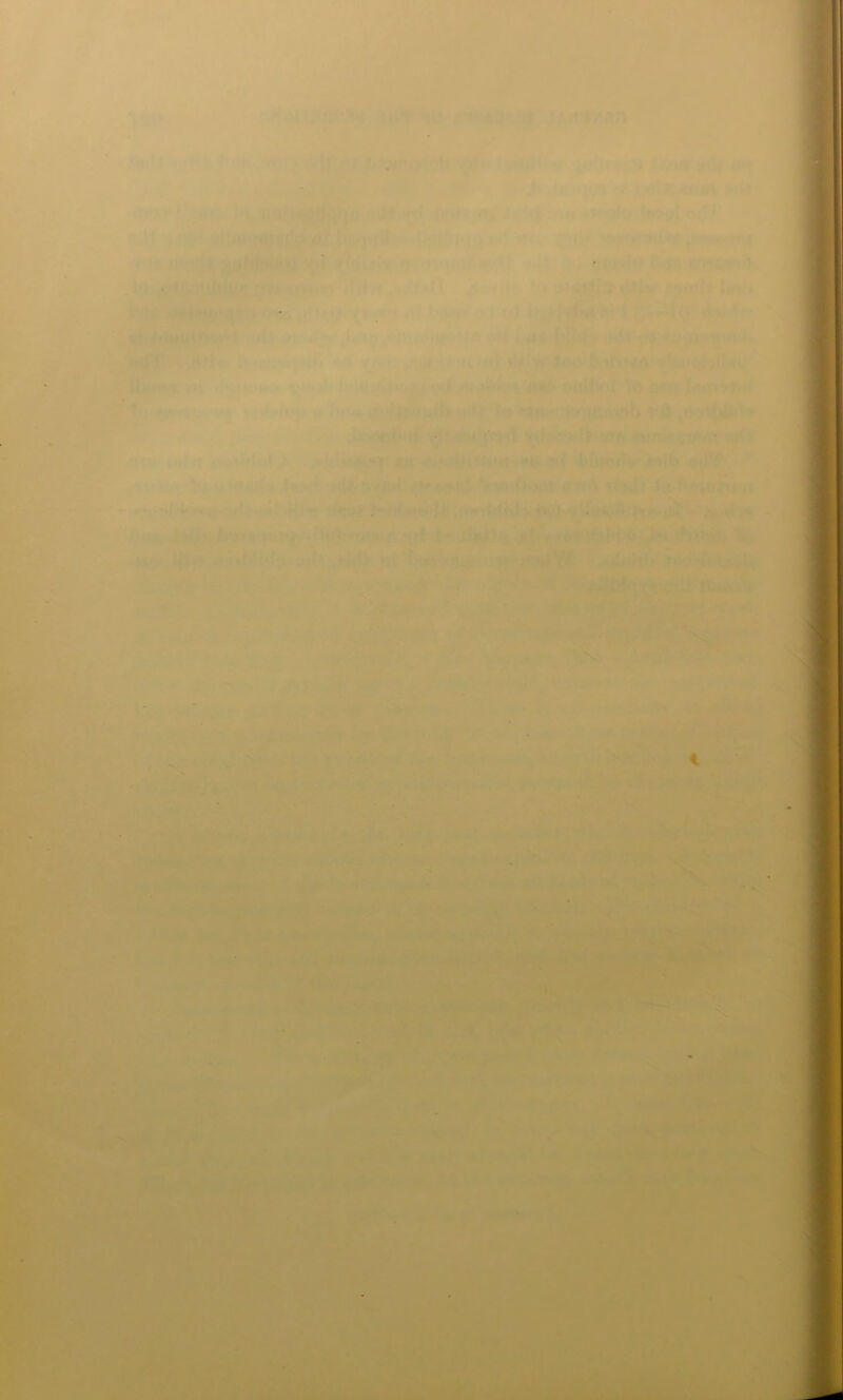 L> <1 ftu* Htt 9fUi< - ■ - - ' ^ *■■- - ^ J iy; Ai^]<iUqjae|B / ijHw t*ir* i»;> *ii«stoii8^A^*64d *'^^***>* f3ari^j;;7A«|ctW f g- t'l^ aiJff *tt-