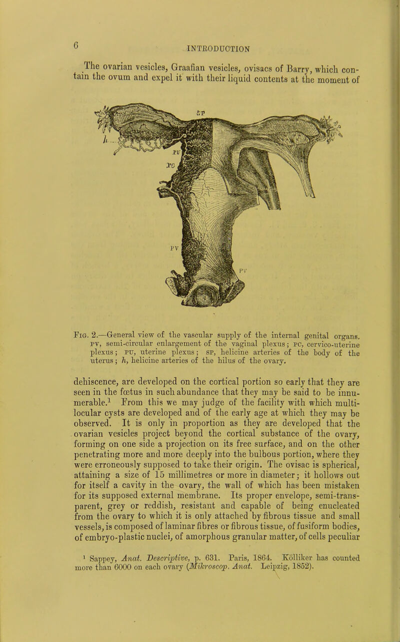 G INTRODUCTION Ihe ovarian vesicles, Graafian vesicles, ovisacs of Barry, which con- tain the ovum and expel it with their liquid contents at the moment of Fig. 2.—General view of the vascular supply of the internal genital organs, pv, semi-circular enlargement of the vaginal plexus; pc, cervico-uterine plexus; pit, uterine plexus; sp, helicine arteries of the body of the uterus; h, heliciue arteries of the hilus of the ovary. dehiscence, are developed on the cortical portion so early that they are seen in the foetus in such abundance that they may be said to be innu- merable.1 From this we may judge of the facility with which multi- locular cysts are developed and of the early age at which they may be observed. It is only in proportion as they are developed that the ovarian vesicles project beyond the cortical substance of the ovary, forming on one side a projection on its free surface, and on the other penetrating more and more deeply into the bulbous portion, where they were erroneously supposed to take their origin. The ovisac is spherical, attaining a size of 15 millimetres or more in diameter; it hollows out for itself a cavity in the ovary, the wall of which has been mistaken for its supposed external membrane. Its proper envelope, semi-trans- parent, grey or reddish, resistant and capable of being enucleated from the ovary to which it is only attached by fibrous tissue and small vessels, is composed of laminar fibres or fibrous tissue, of fusiform bodies, of embryo-plastic nuclei, of amorphous granular matter, of cells peculiar 1 Sappey, An at. Descriptive, p. 631. Paris, 1864 Kolliker has counted more than 6000 on each ovary (Milcroscop. Anat. Leipzig, 1852).