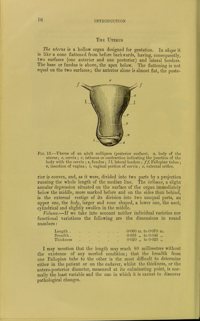 This Uterus The uterus is a hollow organ designed for gestation. In shape it is like a cone flattened from before backwards, having, consequently, two surfaces (one anterior and one posterior) and lateral borders. The base or fundus is above, the apex below. The flattening is not equal on the two surfaces; the anterior alone is almost flat, the poste- Fig. 15.—Uterus of an adult nullipara (posterior surface), a, body of the uterus ; c, cervix ; r, isthmus or contraction indicating the junction of the body with the cervix ; s, fundus ; 11, lateral borders ; //, Fallopian tubes ; v, insertion of vagina; i, vaginal portion of cervix ; o, external orifice. rior is convex, and, as it were, divided into two parts by a projection running the whole length of the median line. The isthmus, a slight annular depression situated on the surface of the organ immediately below the middle, more marked before and on the sides than behind, is the external vestige of its division into two unequal parts, an upper one, the hocly, larger and cone shaped, a lower one, the neck, cylindrical and slightly swollen in the middle. Volume.—If we take into account neither individual varieties nor functional variations the following are the dimensions in round numbers: Length ...... 0-060 in. to 0'070 m. Breadth ...... 0'035 „ to 0.045 „ Thickness 0-020 „ to 0’025 „ I may mention that the length may reach 80 millimetres without the existence of any morbid condition; that the breadth from one Fallopian tube to the other is the most difficult to determine either in the patient or on the cadaver, whilst the thickness, or the antero-posterior diameter, measured at its culminating point, is nor- mally the least variable and the one in which it is easiest to discover pathological changes.