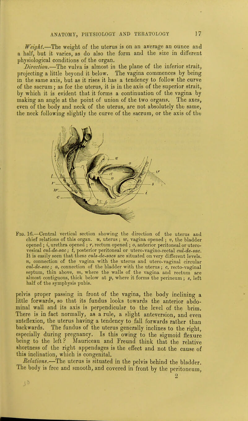 Weight.—The weight of the uterus is on an average an ounce and a half, but it varies, as do also the form and the size in different physiological conditions of the organ. Direction.—The vulva is almost in the plane of the inferior strait, projecting a little beyond it below. The vagina commences by being in the same axis, but as it rises it has a tendency to follow the curve of the sacrum; as for the uterus, it is in the axis of the superior strait, by which it is evident that it forms a continuation of the vagina by making an angle at the point of union of the two organs. The axes, even of the body and neck of the uterus, are not absolutely the same, the neck following slightly the curve of the sacrum, or the axis of the Fig. 16.—Central vertical section showing the direction of the uterus and chief relations of this organ, u, uterus ; w, vagina opened ; v, the bladder opened ; i, urethra opened ; r, rectum opened ; o, anterior peritoneal or utero- vesical cul-de-sac; t, posterior peritoneal or utero-vagino-rectal cul-de-sac. It is easily seen that these culs-de-sacs are situated on very different levels. n, connection of the vagina with the uterus and utero-vaginal circular cul-de-sac; a, connection of the bladder with the uterus ; c, recto-vaginal septum, thin above, m, where the walls of the vagina and rectum are almost contiguous, thick below at p, where it forms the perineum ; s, left half of the symphysis pubis. pelvis proper passing in front of the vagina, the body inclining a little forwards, so that its fundus looks towards the anterior abdo- minal wall and its axis is perpendicular to the level of the brim. There is in fact normally, as a rule, a slight anteversion, and even anteflexion, the uterus having a tendency to fall forwards rather than backwards. The fundus of the uterus generally inclines to the right, especially during pregnancy. Is this owing to the sigmoid flexure being to the left? Mauriceau and Freund think that the relative shortness of the right appendages is the effect and not the cause of this inclination, which is congenital. Delations.—The uterus is situated in the pelvis behind the bladder. The body is free and smooth, and covered in front by the peritoneum, 2