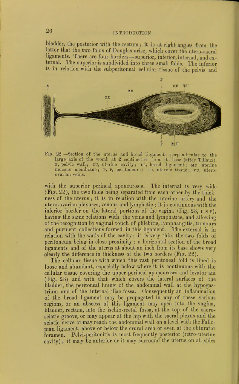 INTRODUCTION bladder, the posterior with the rectum ; it is at right angles from the latter that the two folds of Douglas arise, which cover the utero-sacral ligaments. There are four borders—superior, inferior, internal, and ex- ternal. The superior is subdivided into three small folds. The inferior is in relation with the subperitoneal cellular tissue of the pelvis and i M.u Fig. 22.—Section of the uterus and broad ligaments perpendicular to the large axis of the womb at 2 centimetres from its base (after Tillaux). b, pelvic wall ; cu, uterine cavity; ll, broad ligament; mtj, uterine mucous membrane ; p, p, peritoneum; tg, uterine tissue; vg, utero- ovarian veins. with the superior perineal aponeurosis. The internal is very wide (Fig. 22), the two folds being separated from each other by the thick- ness of the uterus; it is in relation with the uterine artery and the utero-ovarian plexuses, venous and lymphatic ; it is continuous with the inferior border on the lateral portions of the vagina (Fig. 23, l s p), having the same relations with the veins and lymphatics, and allowing of the recognition by vaginal touch of phlebitis, lymphangitis, tumours and purulent collections formed in this ligament. The external is in relation with the walls of the cavity; it is very thin, the two folds of peritoneum being in close proximity ; a horizontal section of the broad ligaments and of the uterus at about an inch from its base shows very clearly the difference in thickness of the two borders (Fig. 22). The cellular tissue with which this vast peritoneal fold is lined is loose and abundant, especially below where it is continuous with the cellular tissue covering the upper perineal aponeuroses and levator ani (Fig. 23) and with that which covers the lateral surfaces of the bladder, the peritoneal lining of the abdominal wall at the hypogas- trium and of the internal iliac fossa. Consequently an inflammation of the broad ligament may be propagated in any of these various regions, or an abscess of this ligament may open into the vagina, bladder, rectum, into the ischio-rectal fossa, at the top of the sacro- sciatic groove, or may appear at the hip with the sacral plexus and the sciatic nerve or may reach the abdominal wall on a level with the Fallo- pian ligament, above or below the crural arch or even at the obturator foramen. Pelvi-peritonitis is most frequently posterior (retro-uterine cavity); it may be anterior or it may surround the uterus on all sides